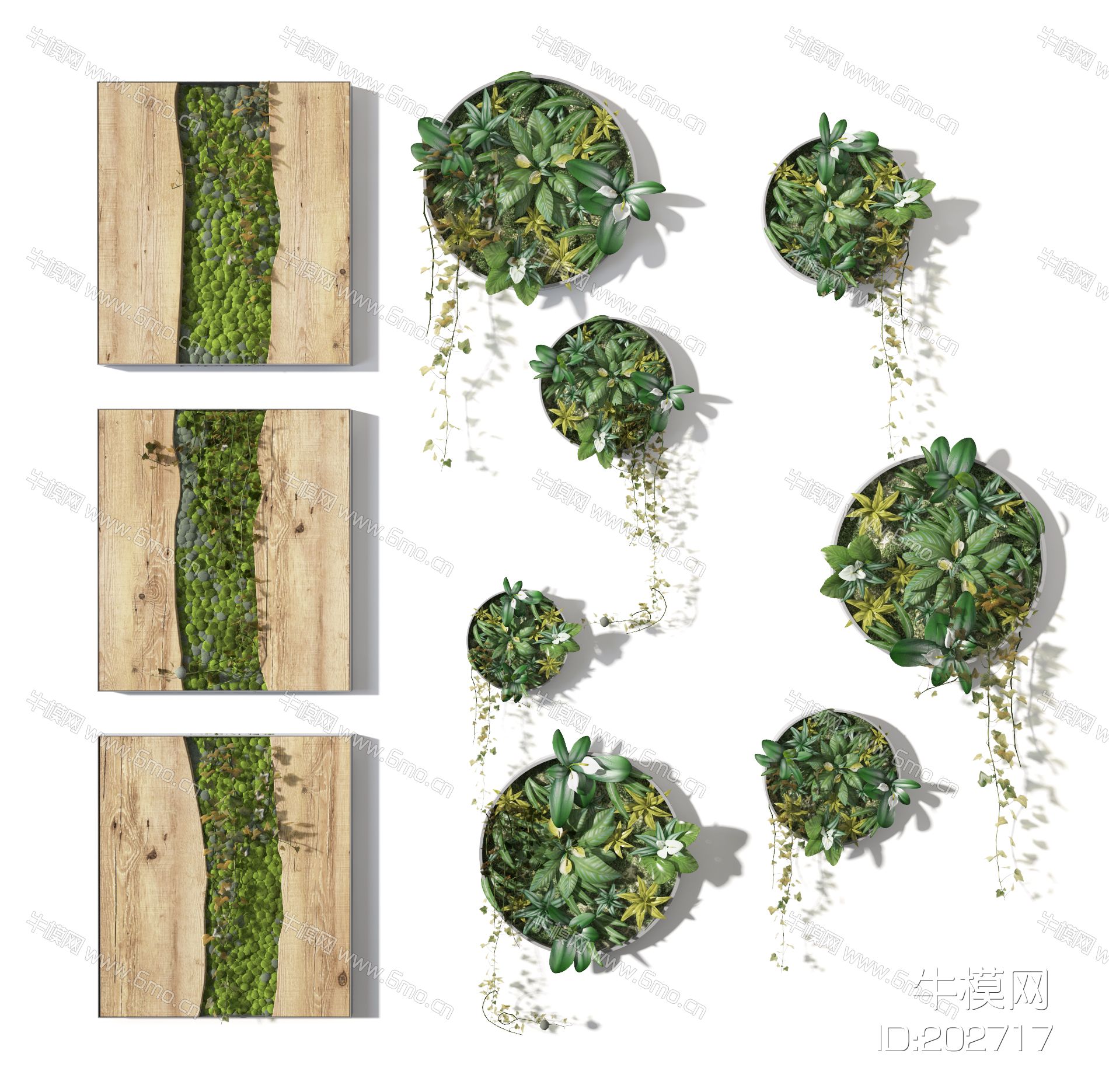 现代植物墙饰，植物绿植墙，苔藓吊装植物绿植