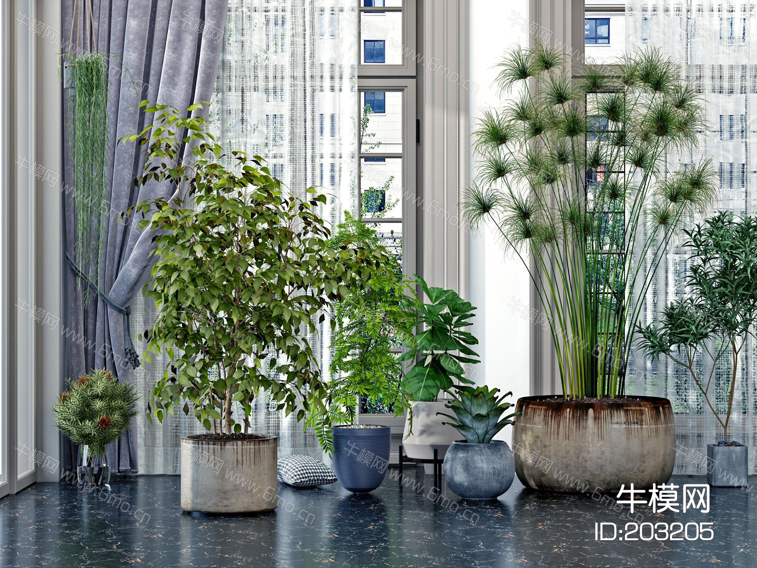现代绿植盆栽，花盆