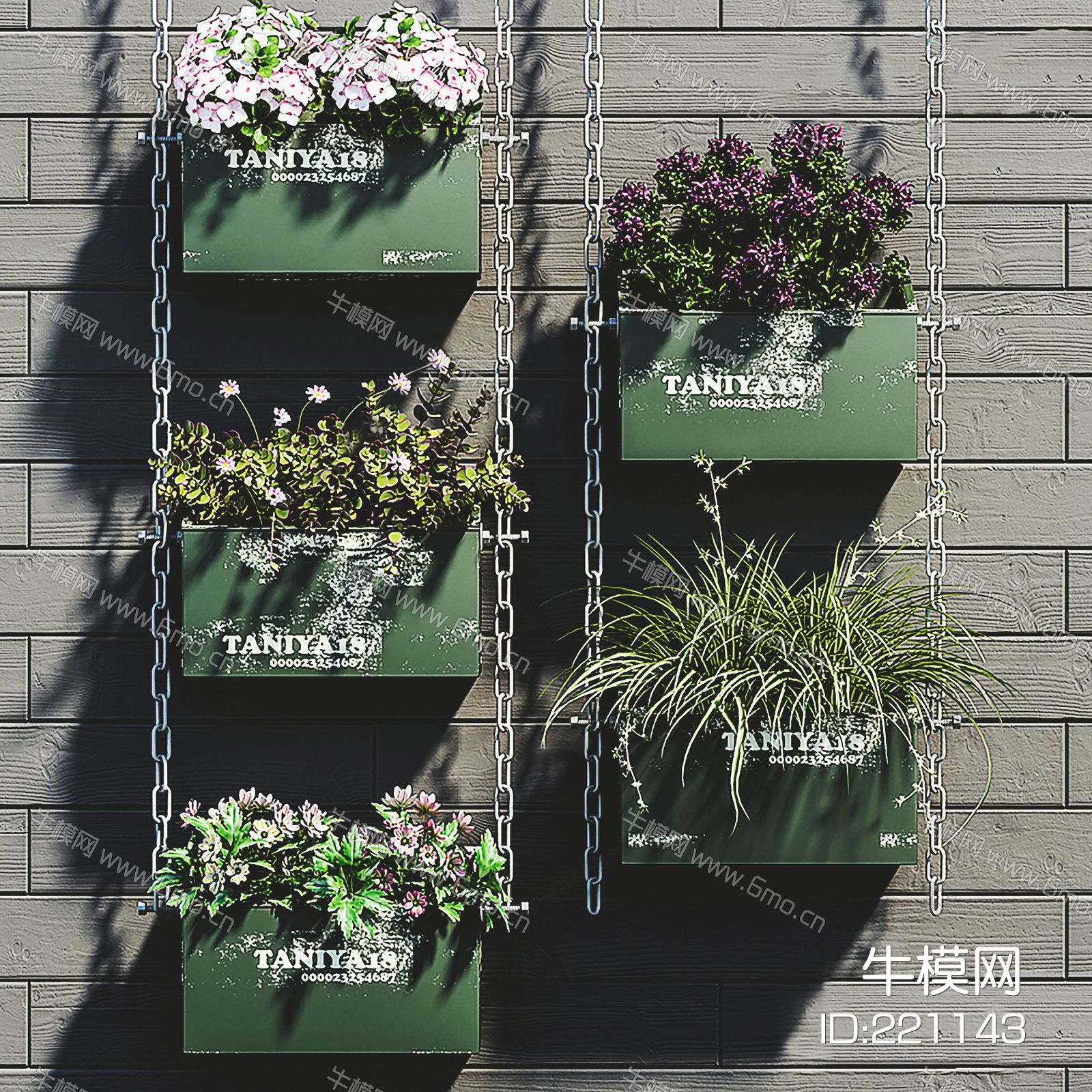 现代墙壁挂式植物 绿植 盆栽 花草花卉