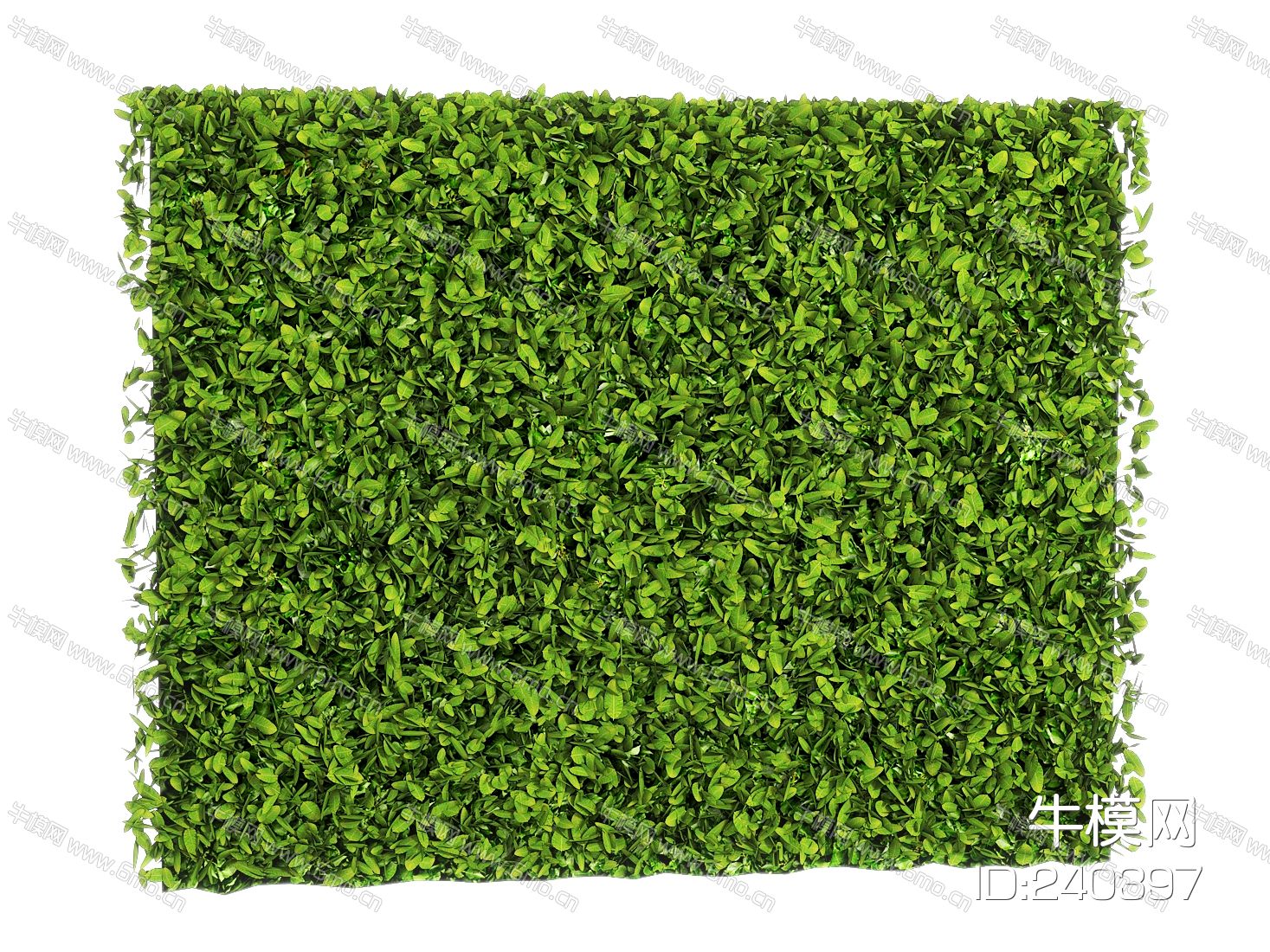 现代绿植墙_景观墙_植物墙