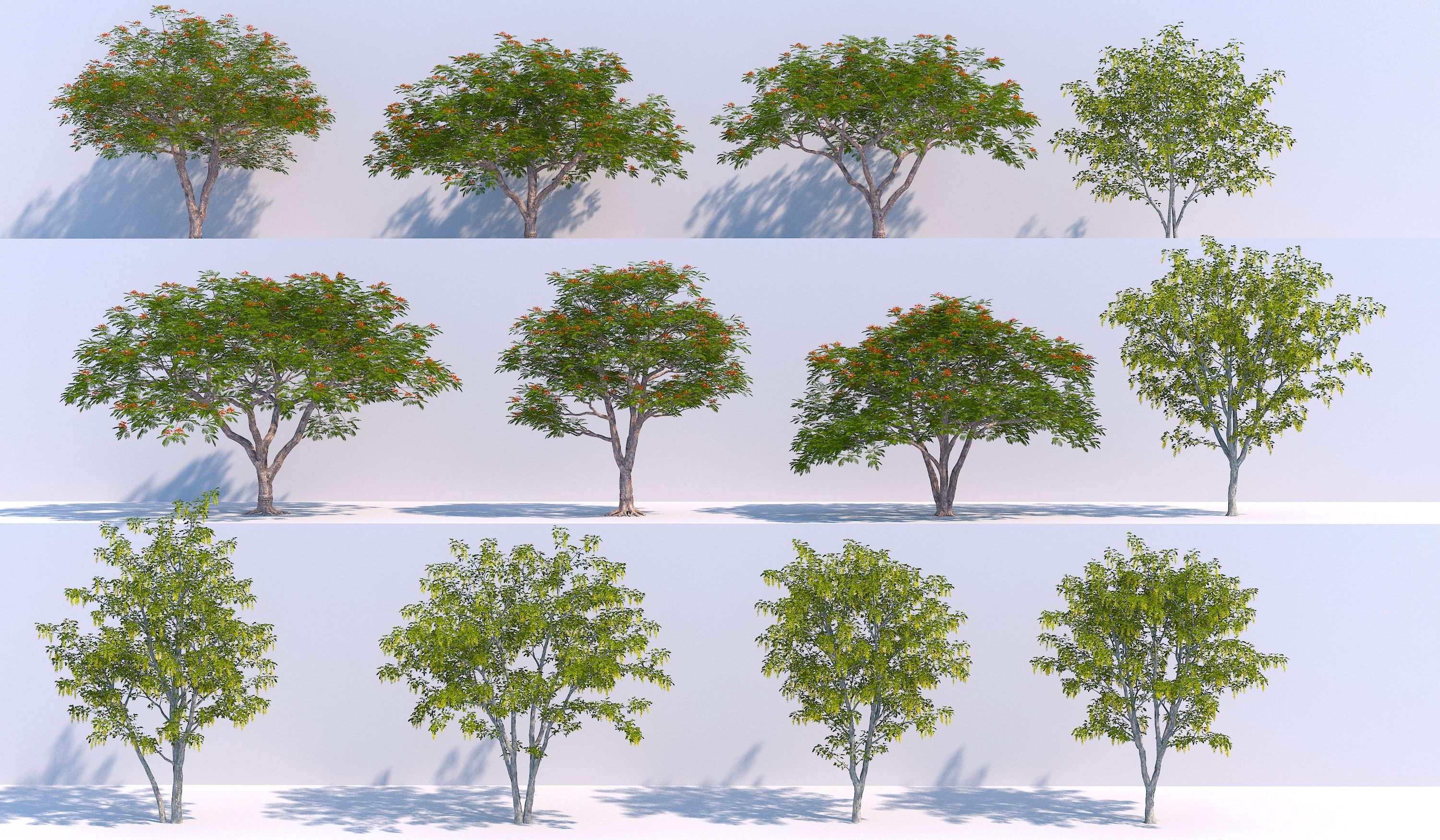 现代树木3D模型