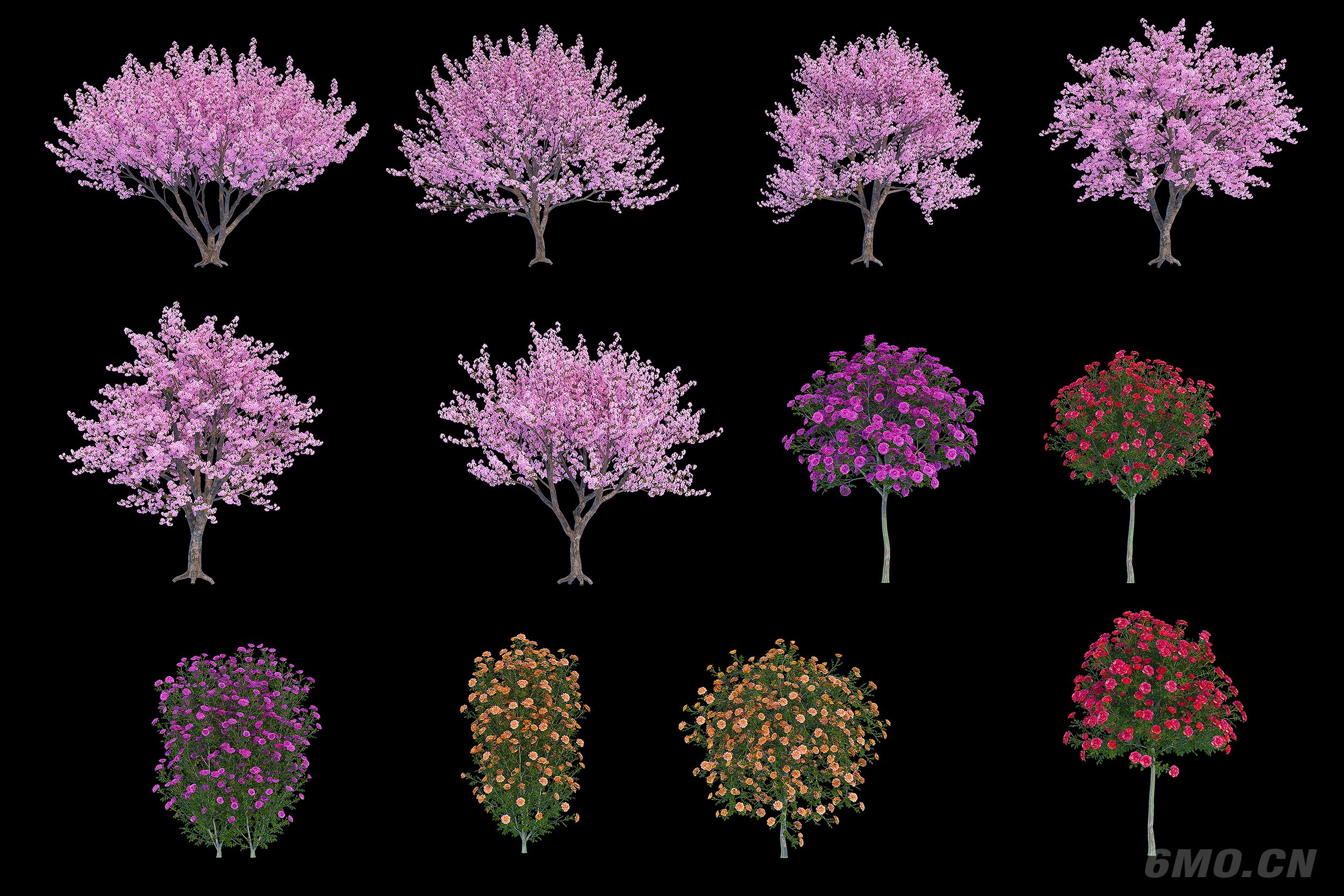 现代樱花树 花球树3D模型