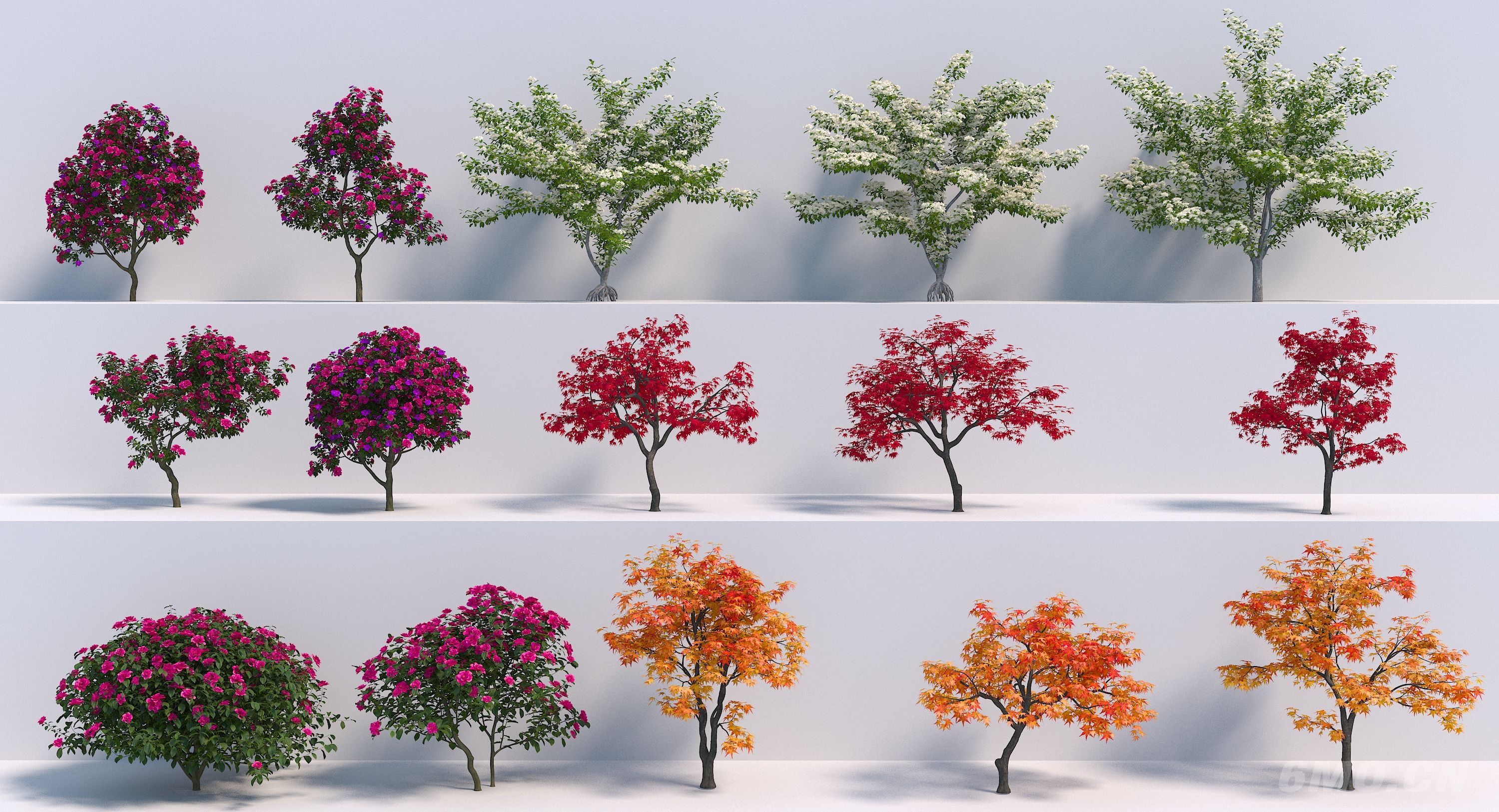 现代树木3D模型