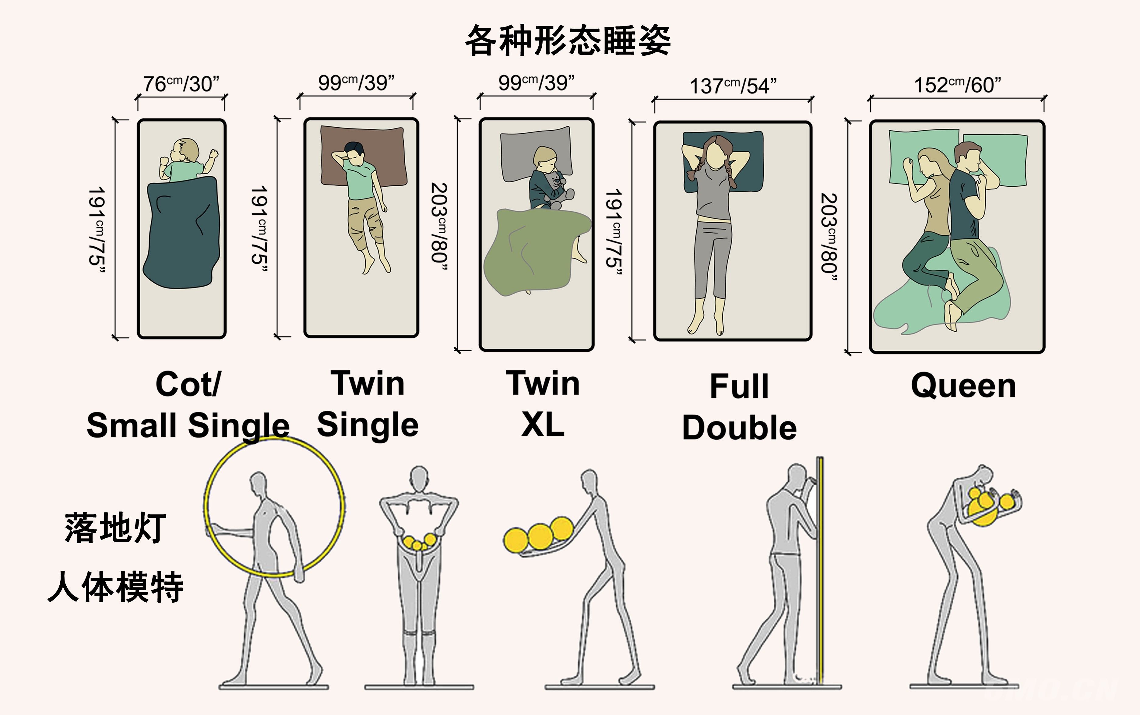 各类动态人物大全