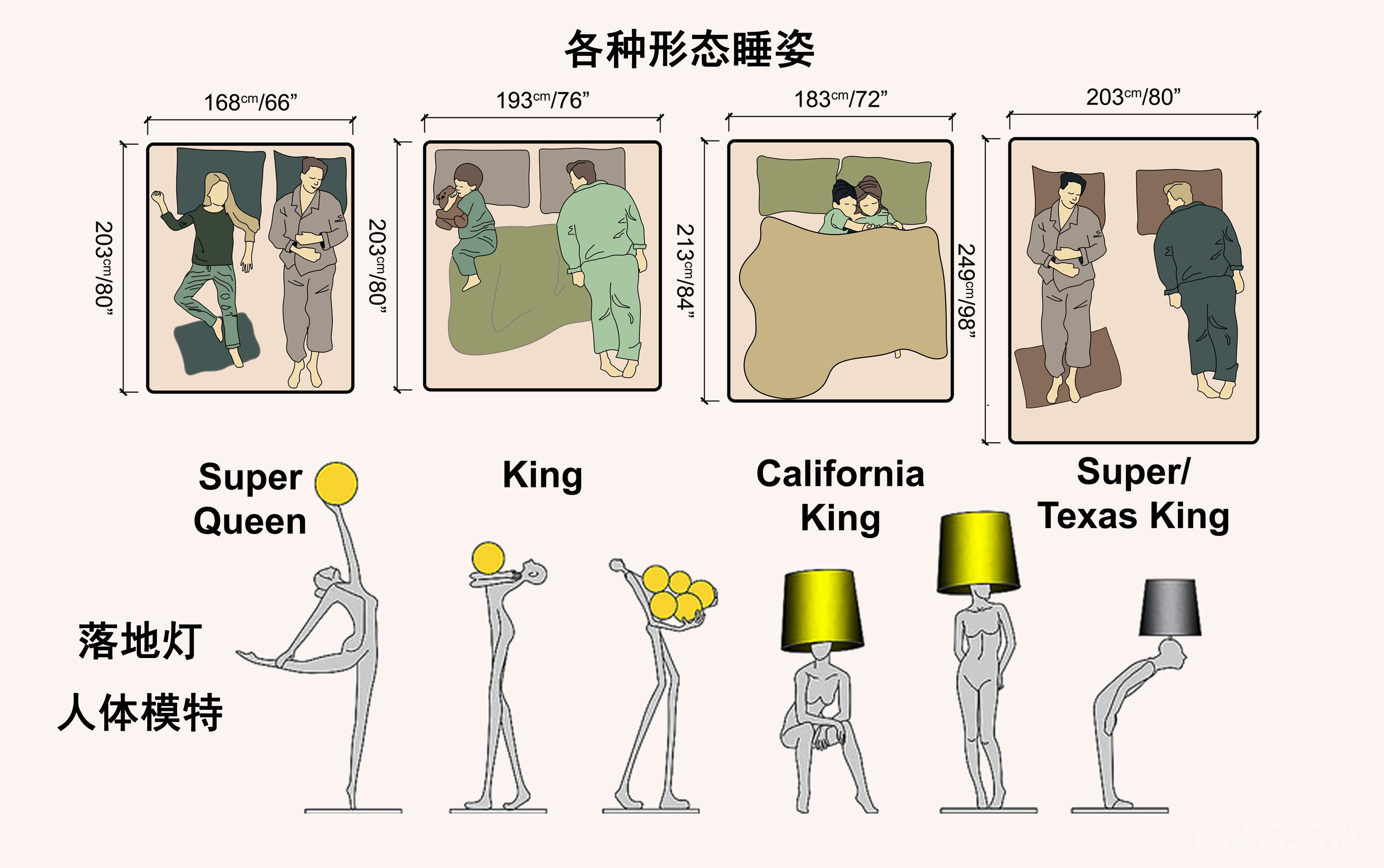各类动态人物大全