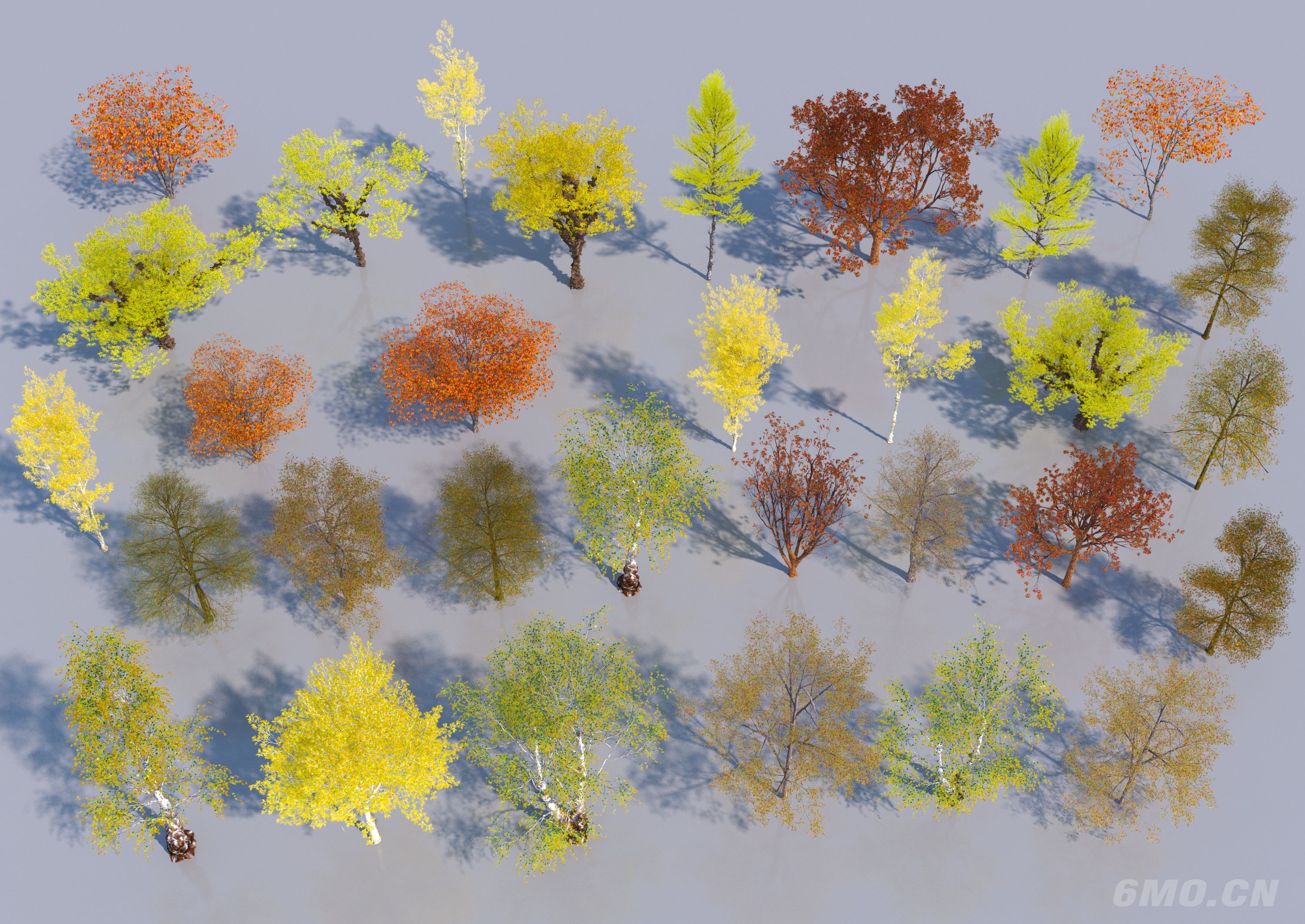 现代秋景树木3D模型