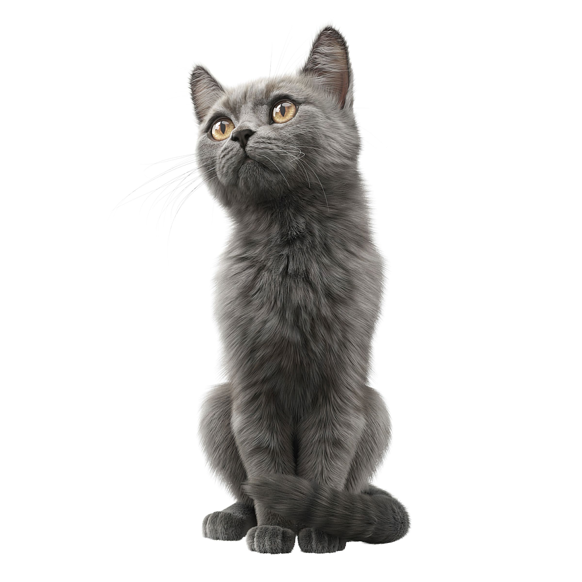 现代灰色宠物猫，两种造型含两个max文件