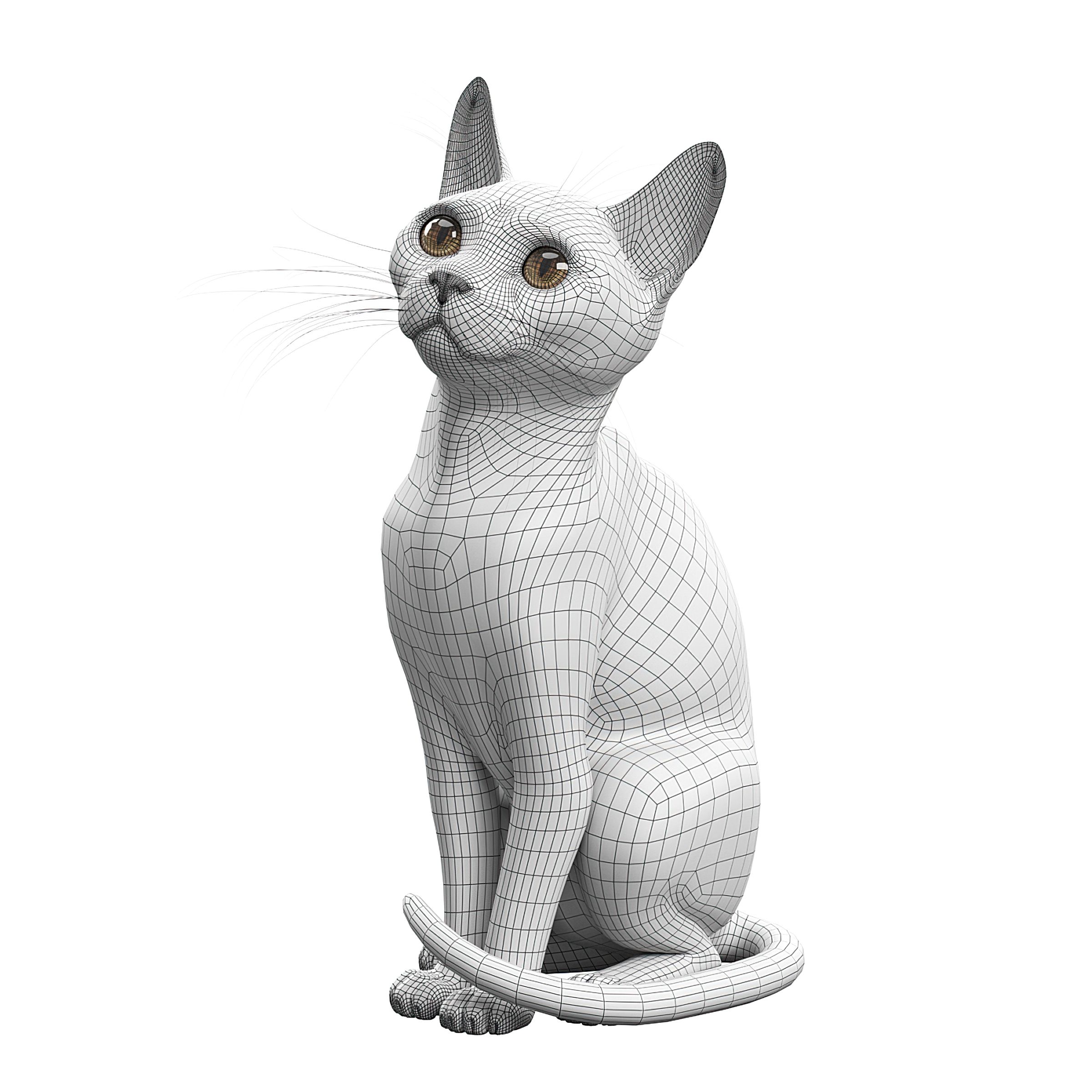现代灰色宠物猫，两种造型含两个max文件