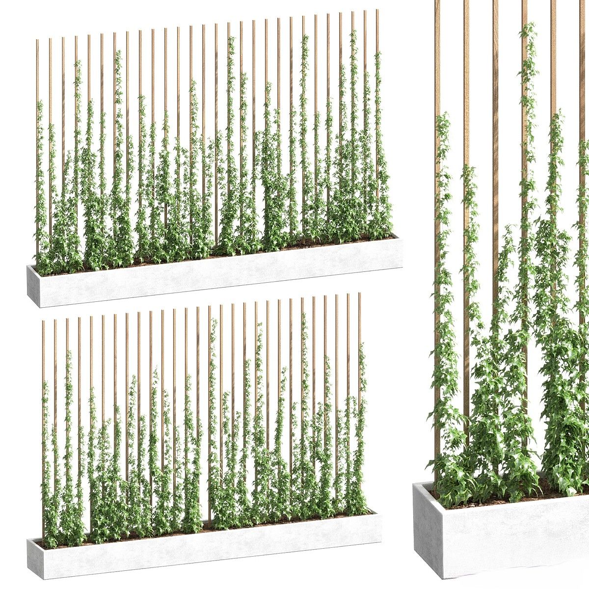 绿植,垂吊和墙面