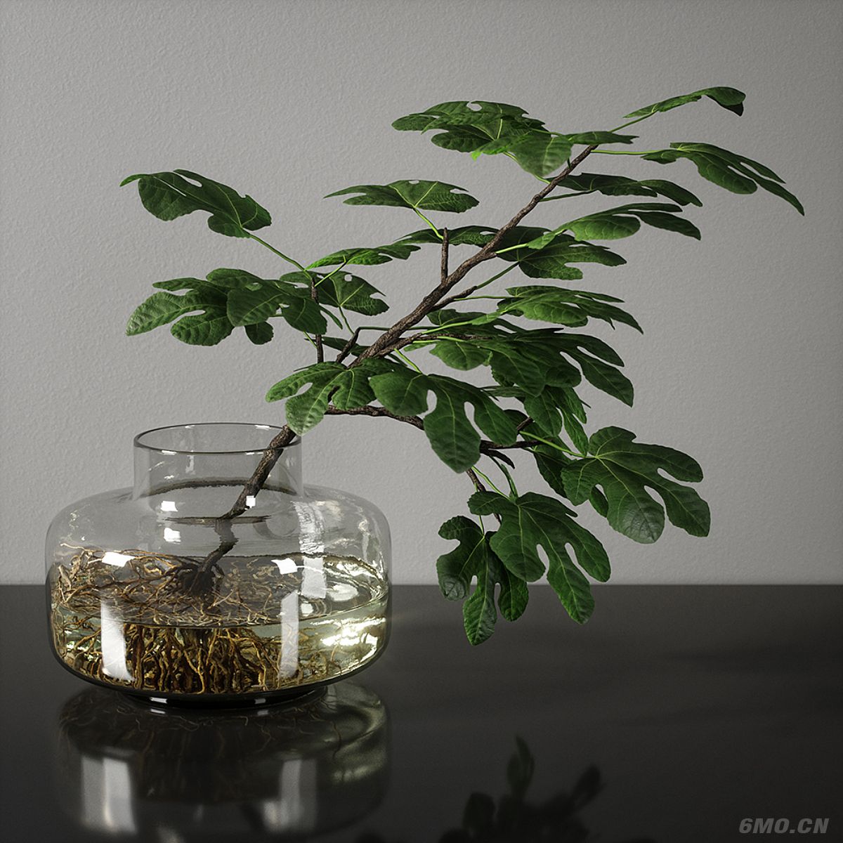 绿植,桌面绿植