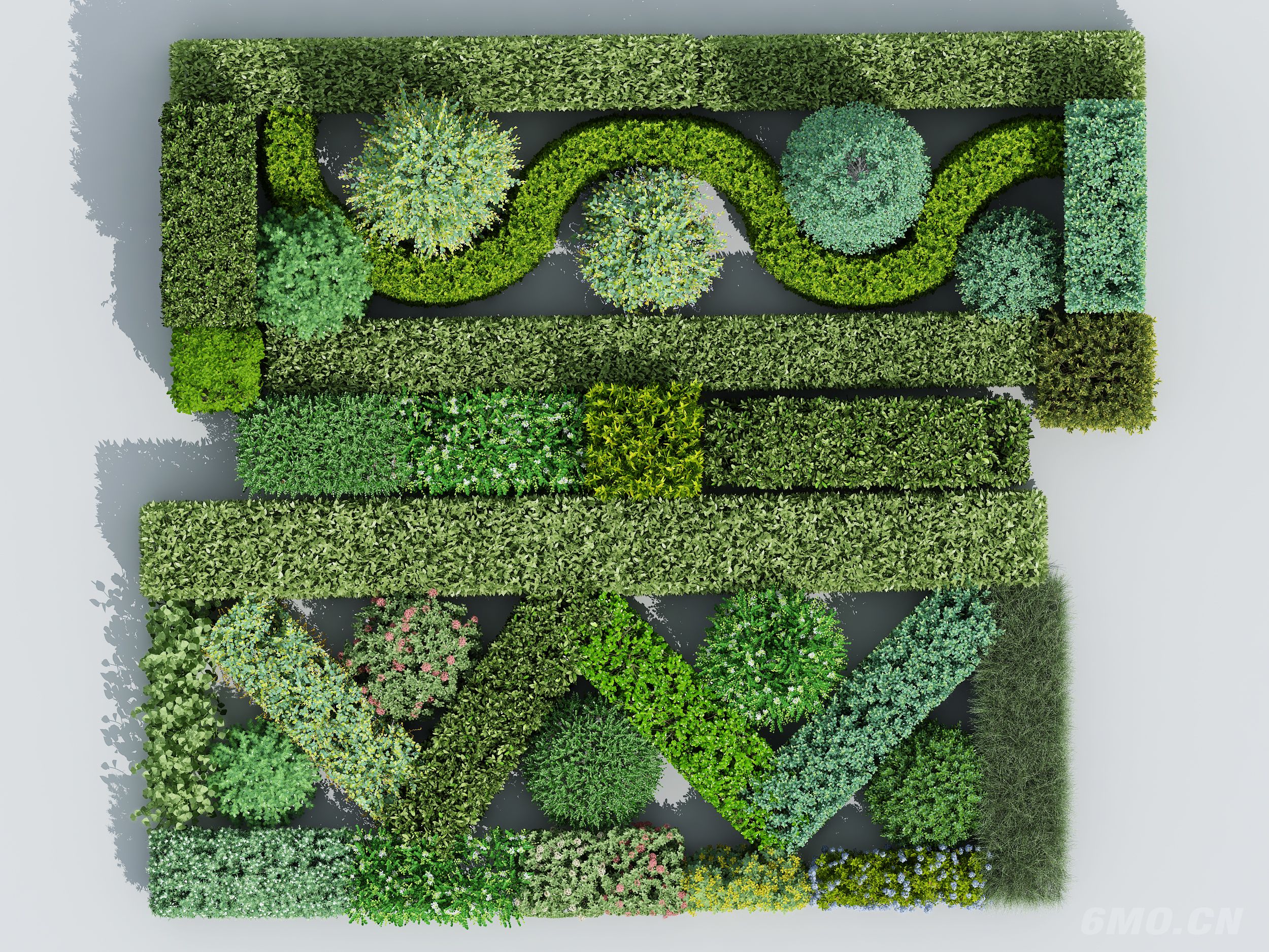  绿篱 方形灌木 方形树 方形绿篱 绿化带 法式绿植