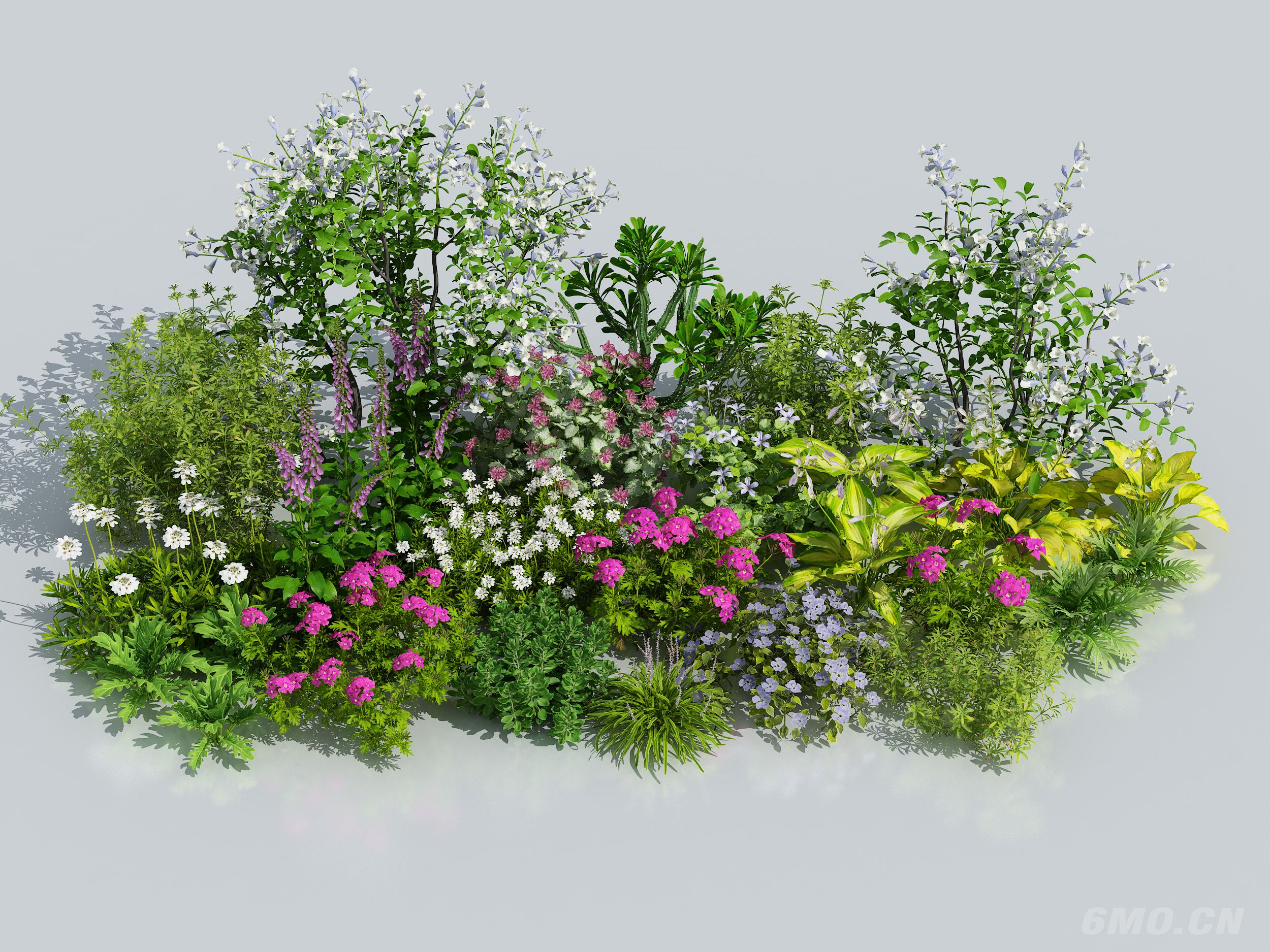 花卉花草组合 灌木 景观绿植花草 室外鲜花绿化 植物组合 绿植花丛