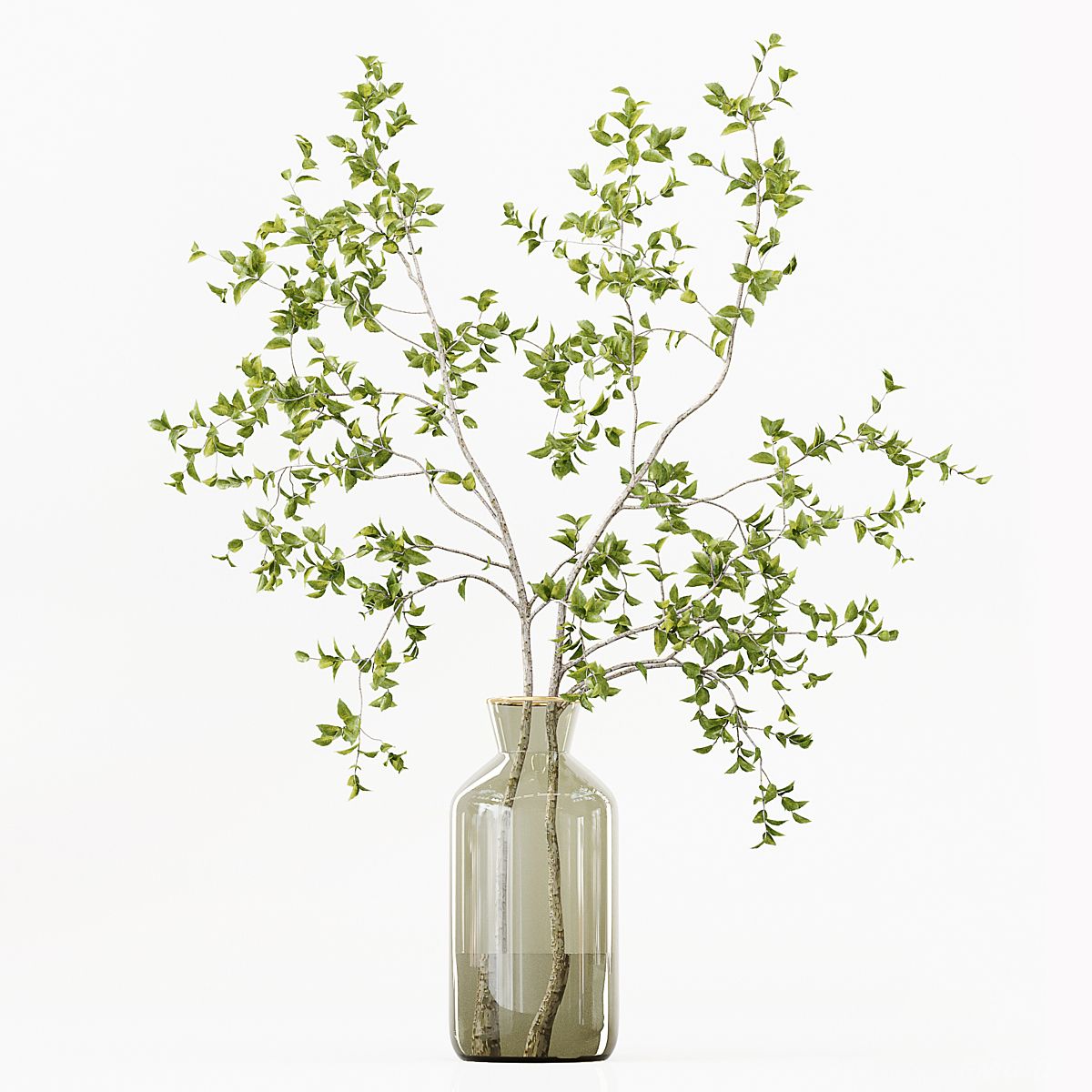 现代玻璃水生绿植盆栽 植物摆设 装饰摆件 玻璃花瓶 花草 陈设品