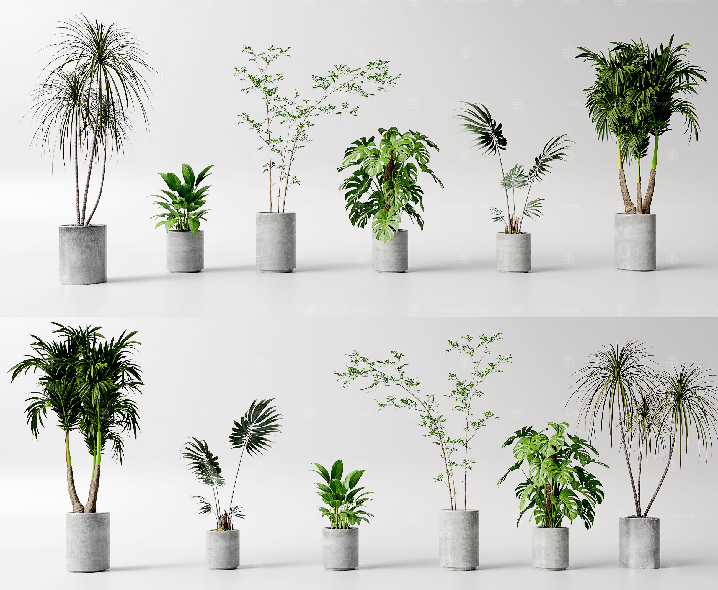 现代花盆 绿植 室内植物组合