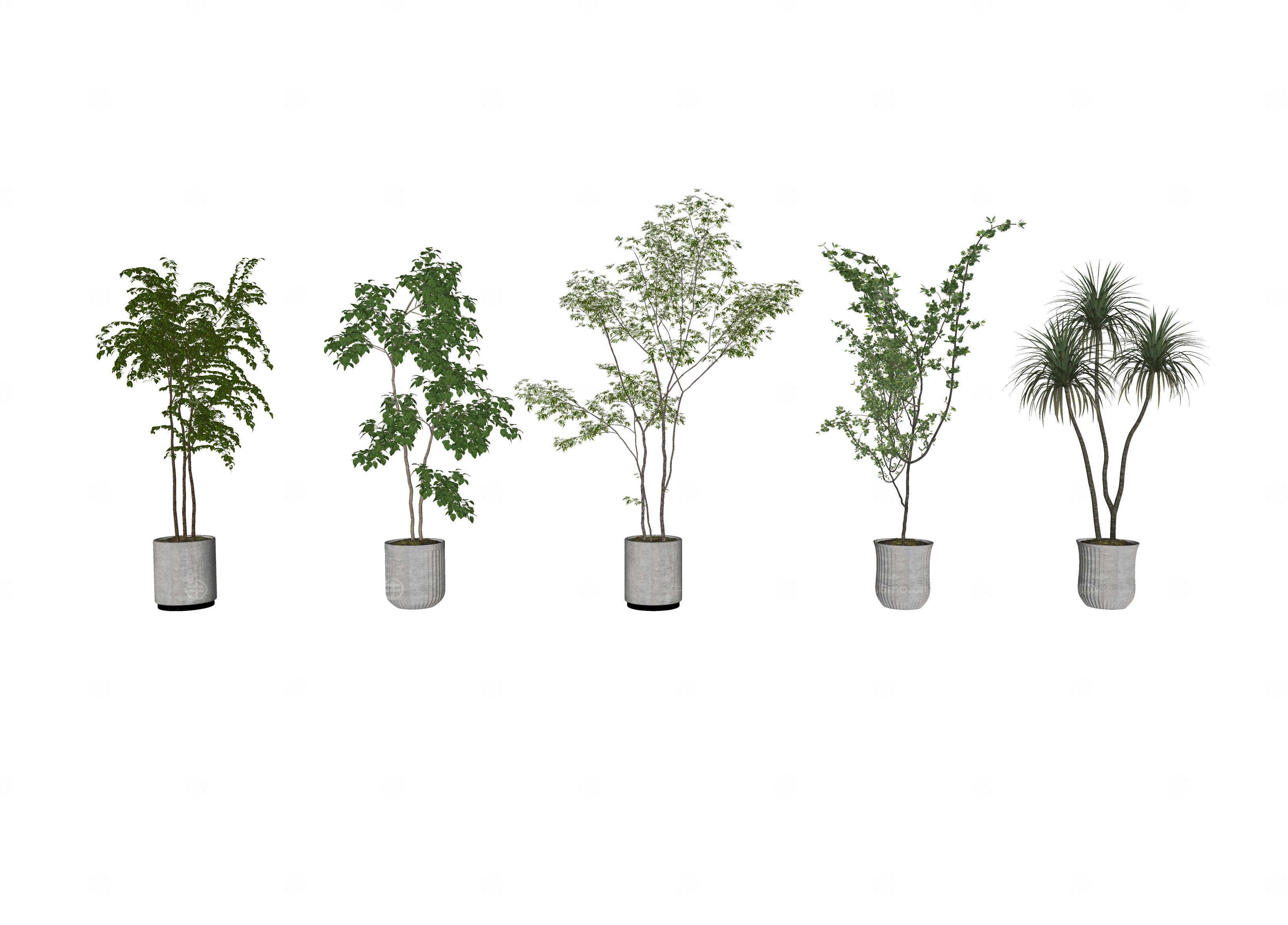 现代花盆 盆栽绿植 室内植物盆栽组合 盆栽 植物 绿植 室内植被摆件