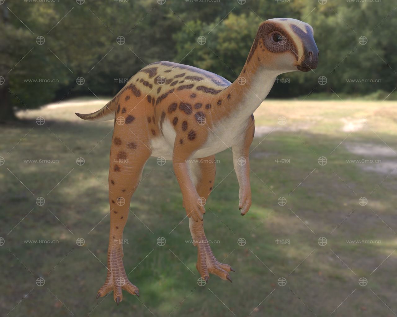 橡树龙侏罗纪晚期食草性恐龙