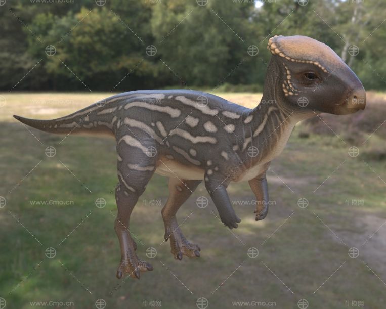 平头龙晚白垩世远古灭绝生物恐龙