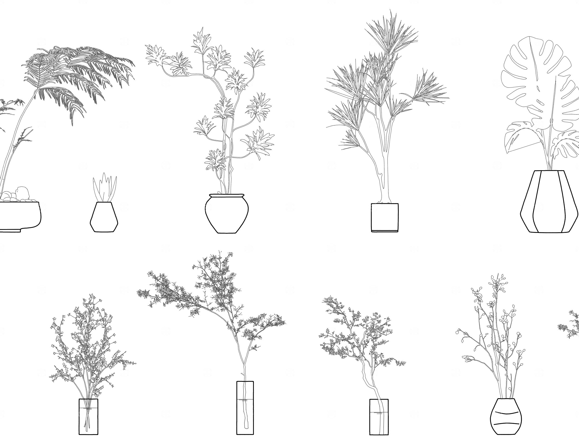 现代绿植盆栽