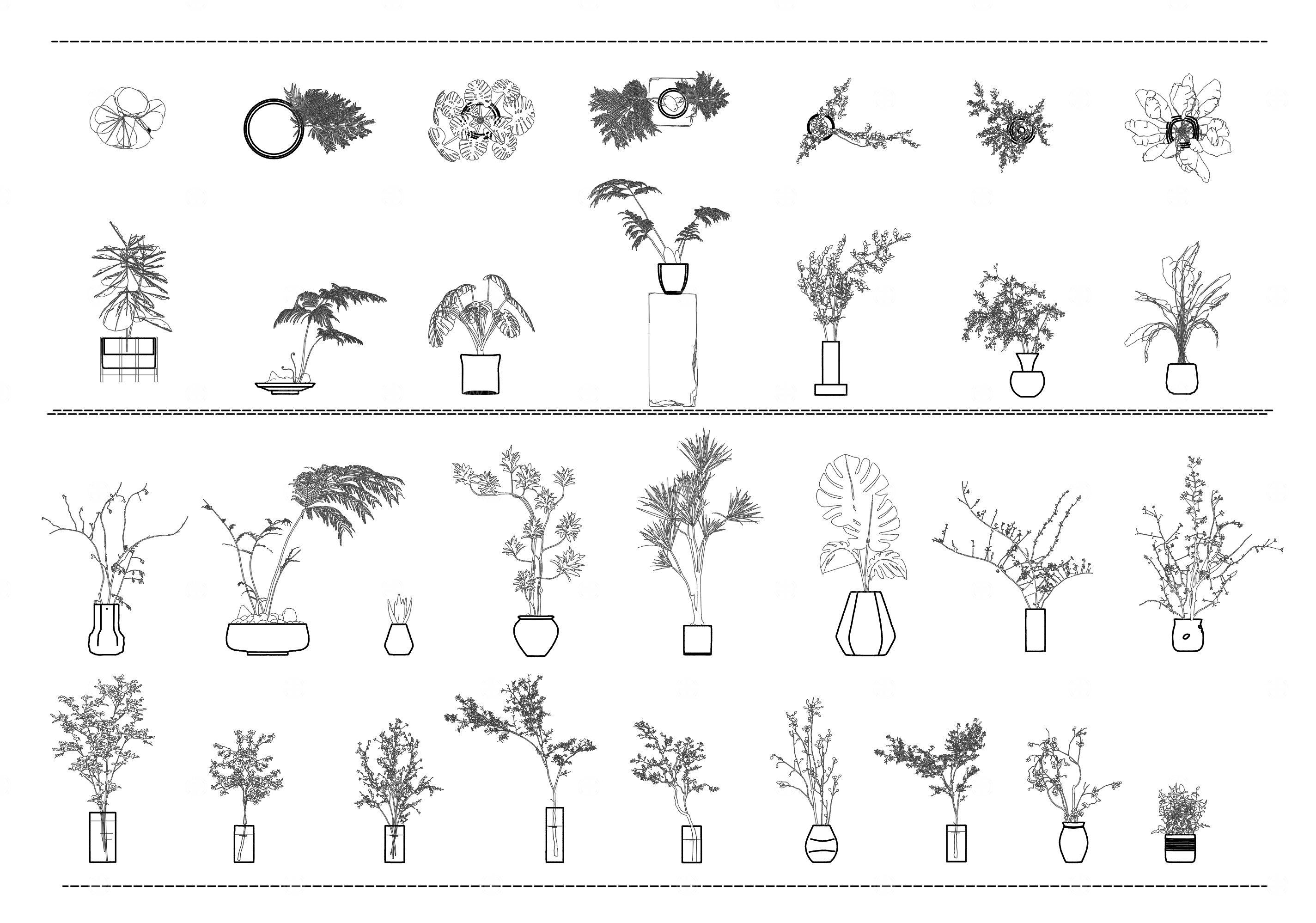 现代绿植盆栽