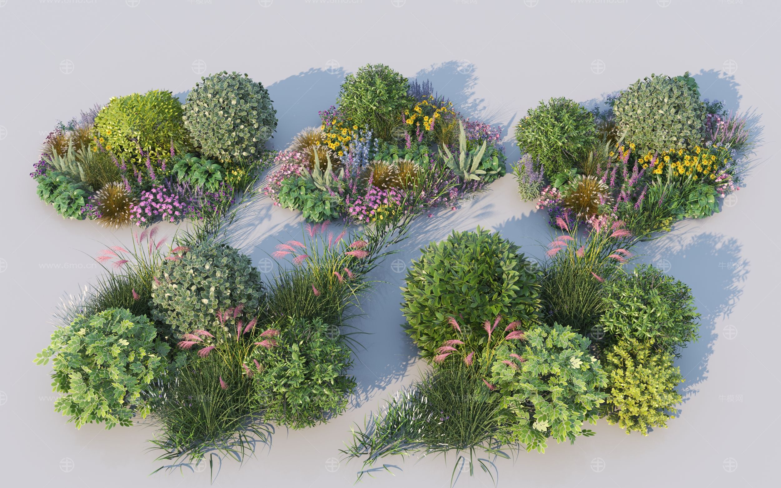 现代植物组合_花卉组团_景观花草3D模型