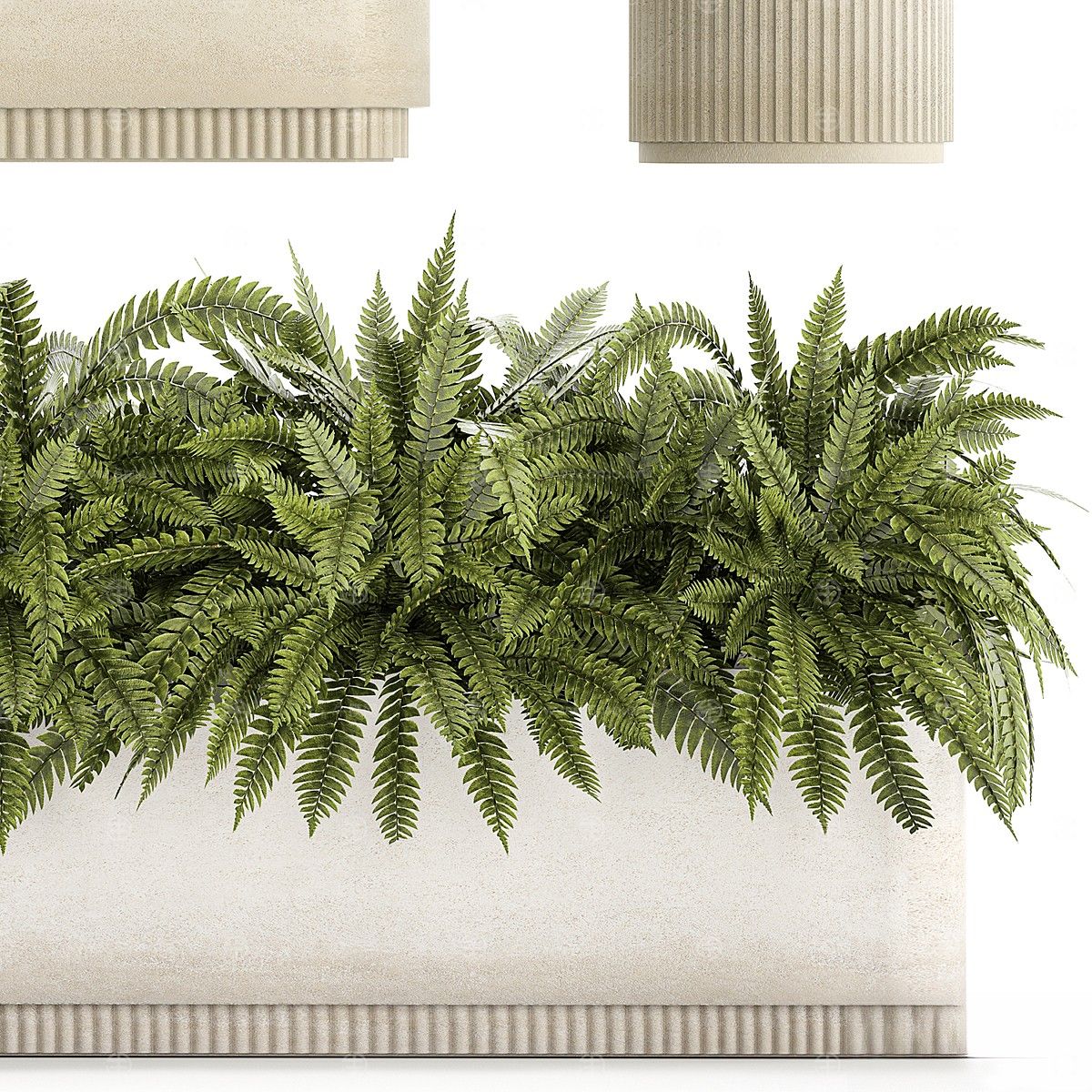 现代植物盆栽
