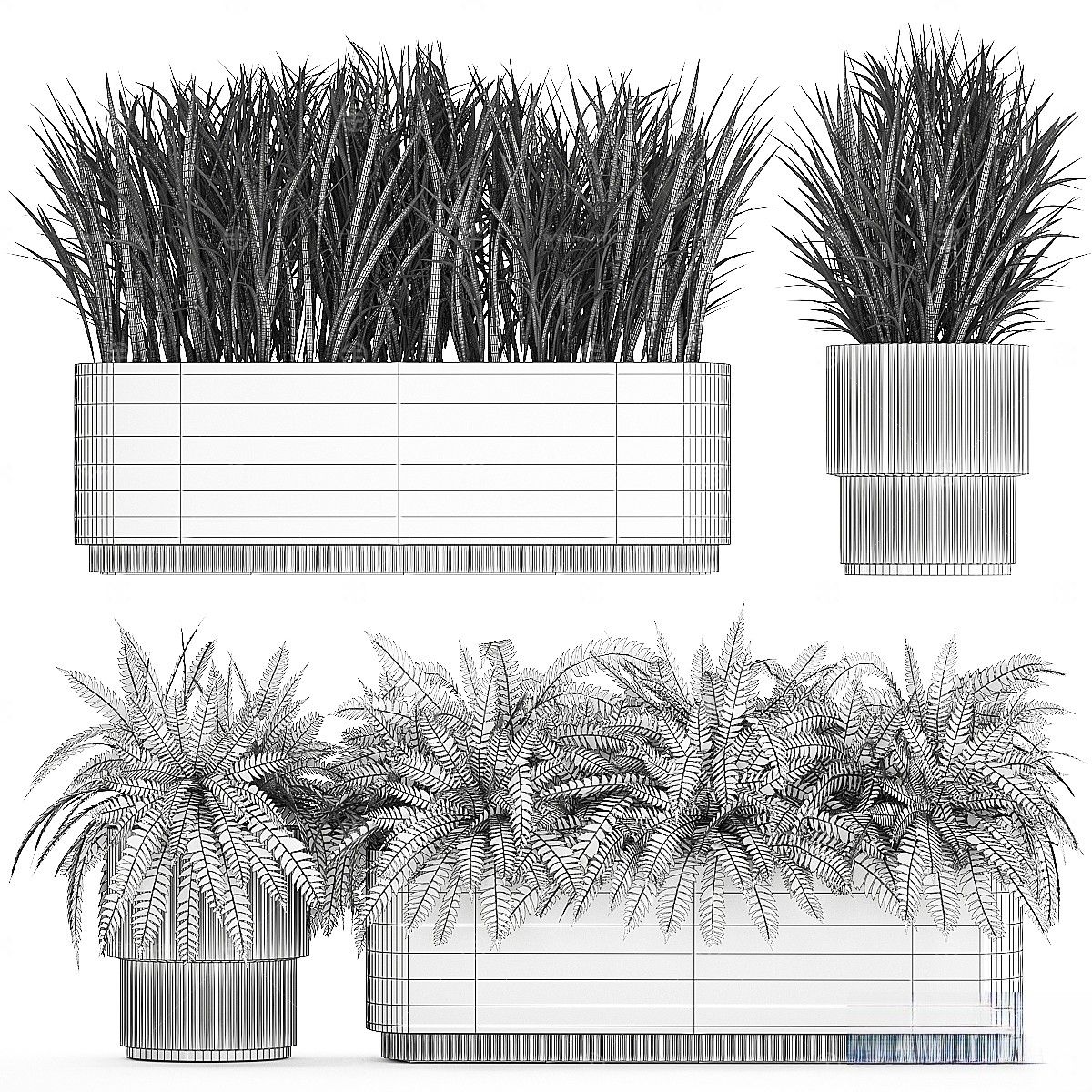 现代植物盆栽
