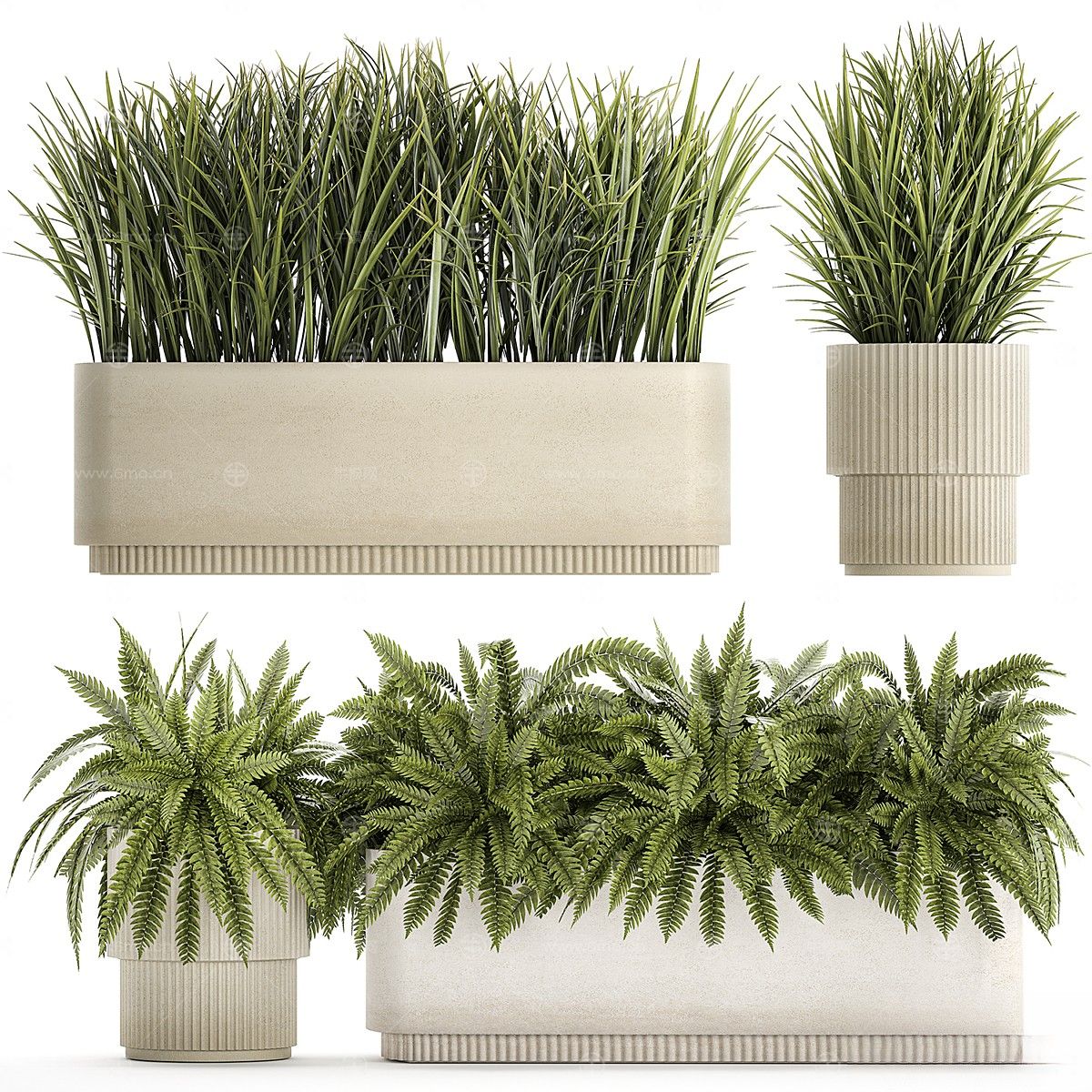 现代植物盆栽