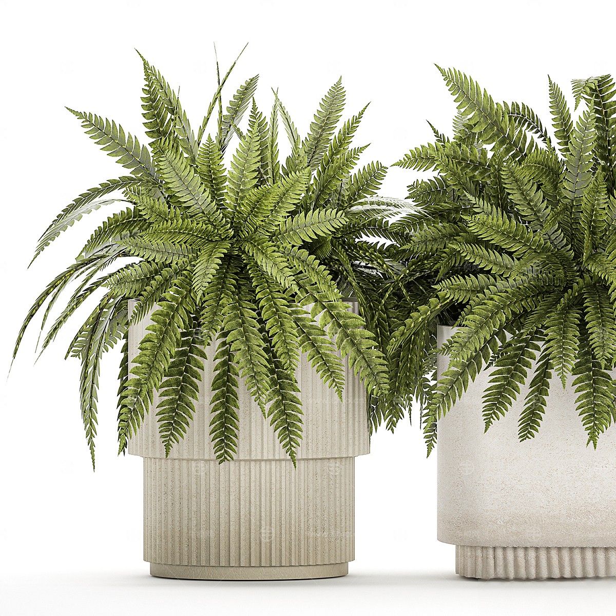 现代植物盆栽