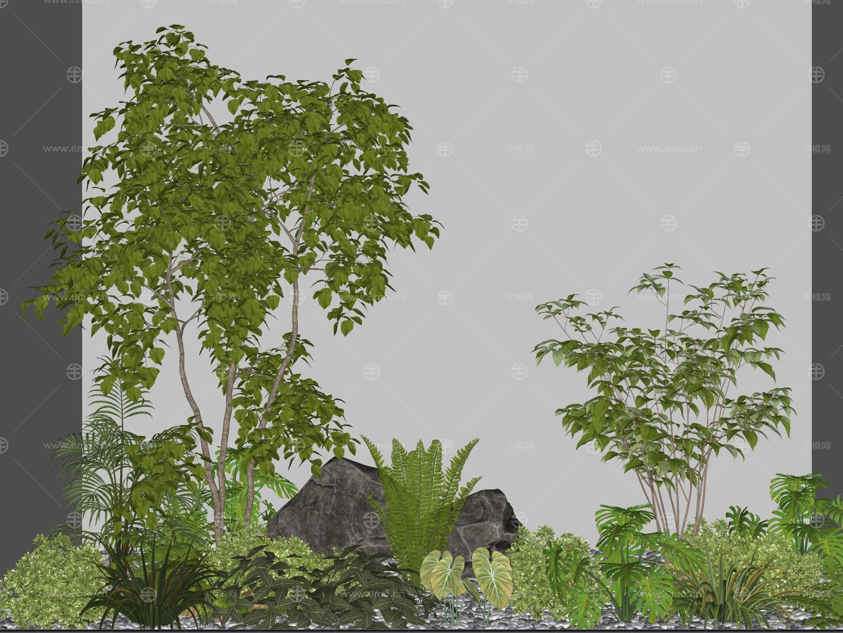 3d景观植物热带植物地被花卉棕榈植物龟背竹景石景观树卵石灌木景观草