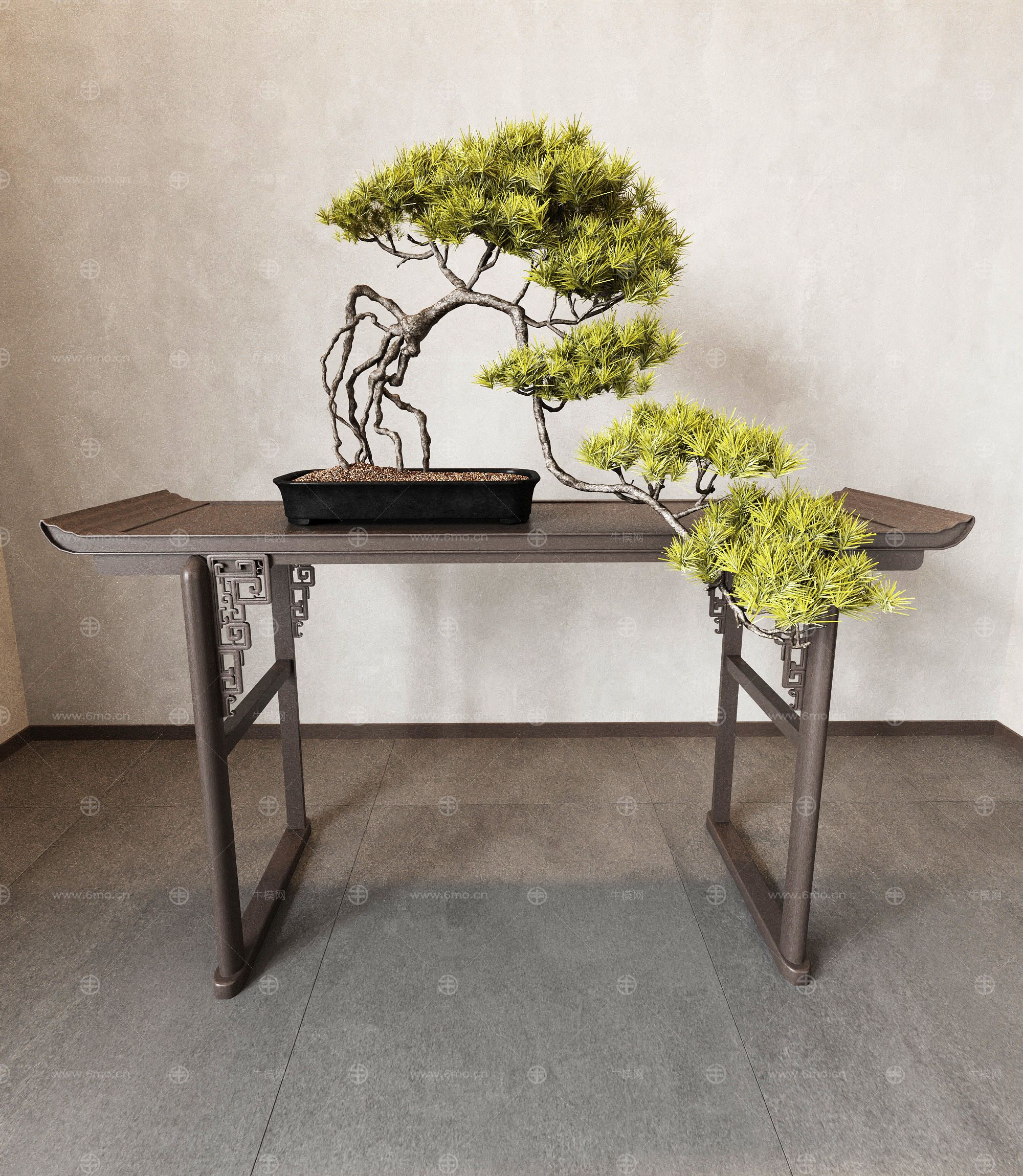 盆景 盆栽 植物 绿植 松树 中式桌子