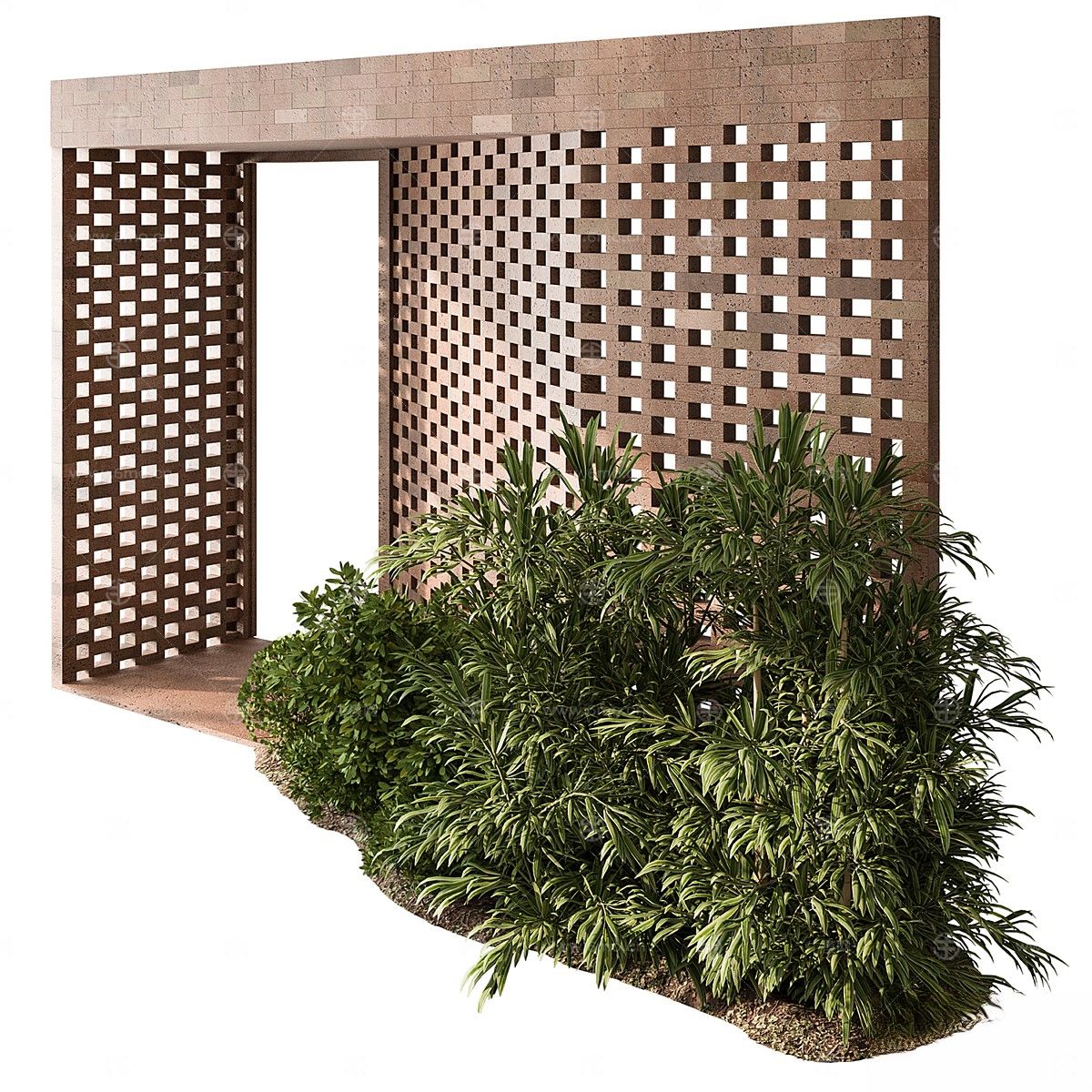 现代植物花草,地面绿植