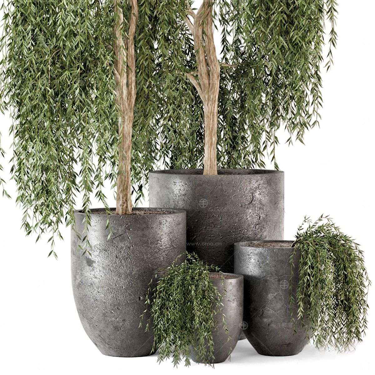 现代植物花草,植物盆栽