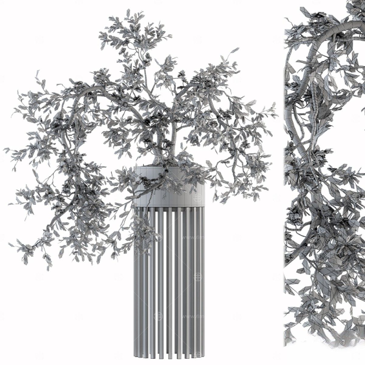 现代植物花草,植物盆栽