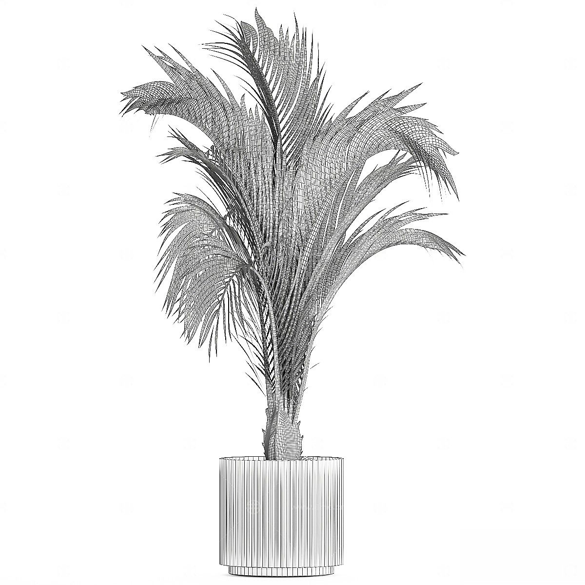 现代植物花草,植物盆栽