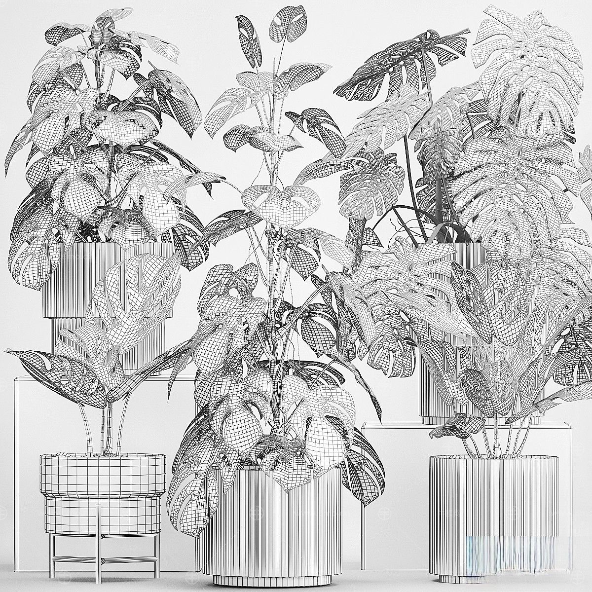 现代植物花草,植物盆栽