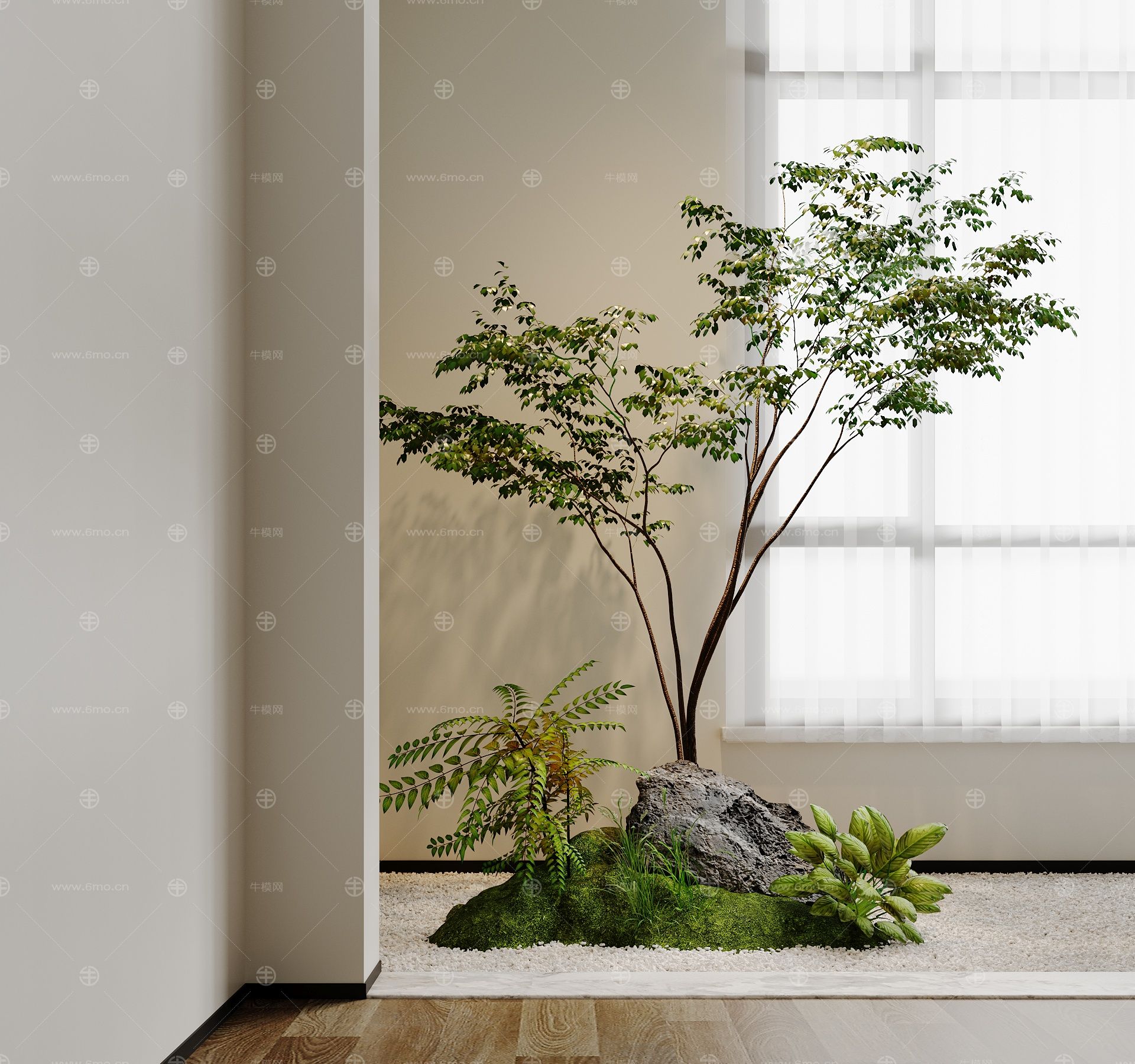  现代景观造景 室内景观植物