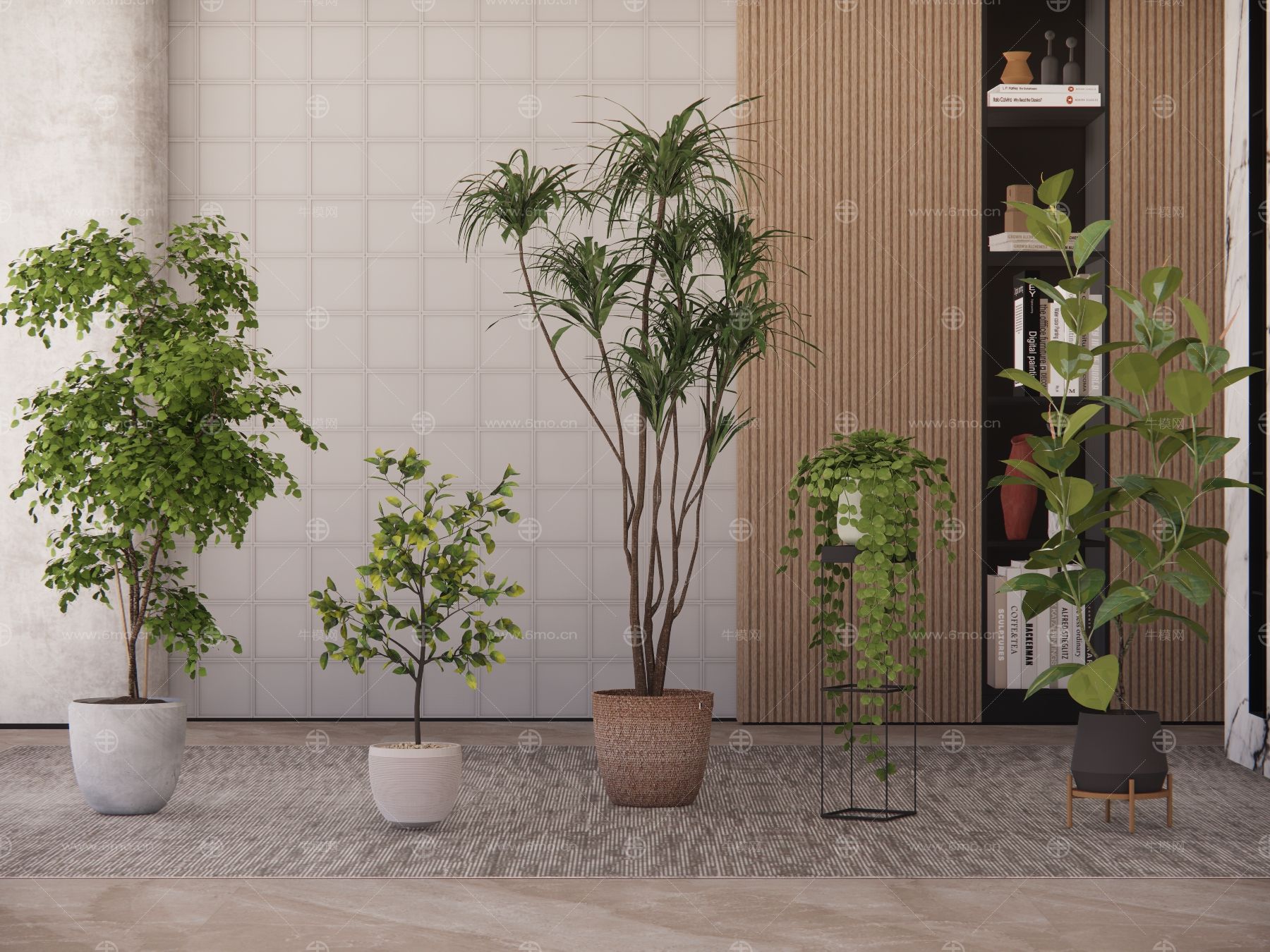 现代绿植摆件盆栽绿植盆景植物景观绿植家居植物南天竹龙血树