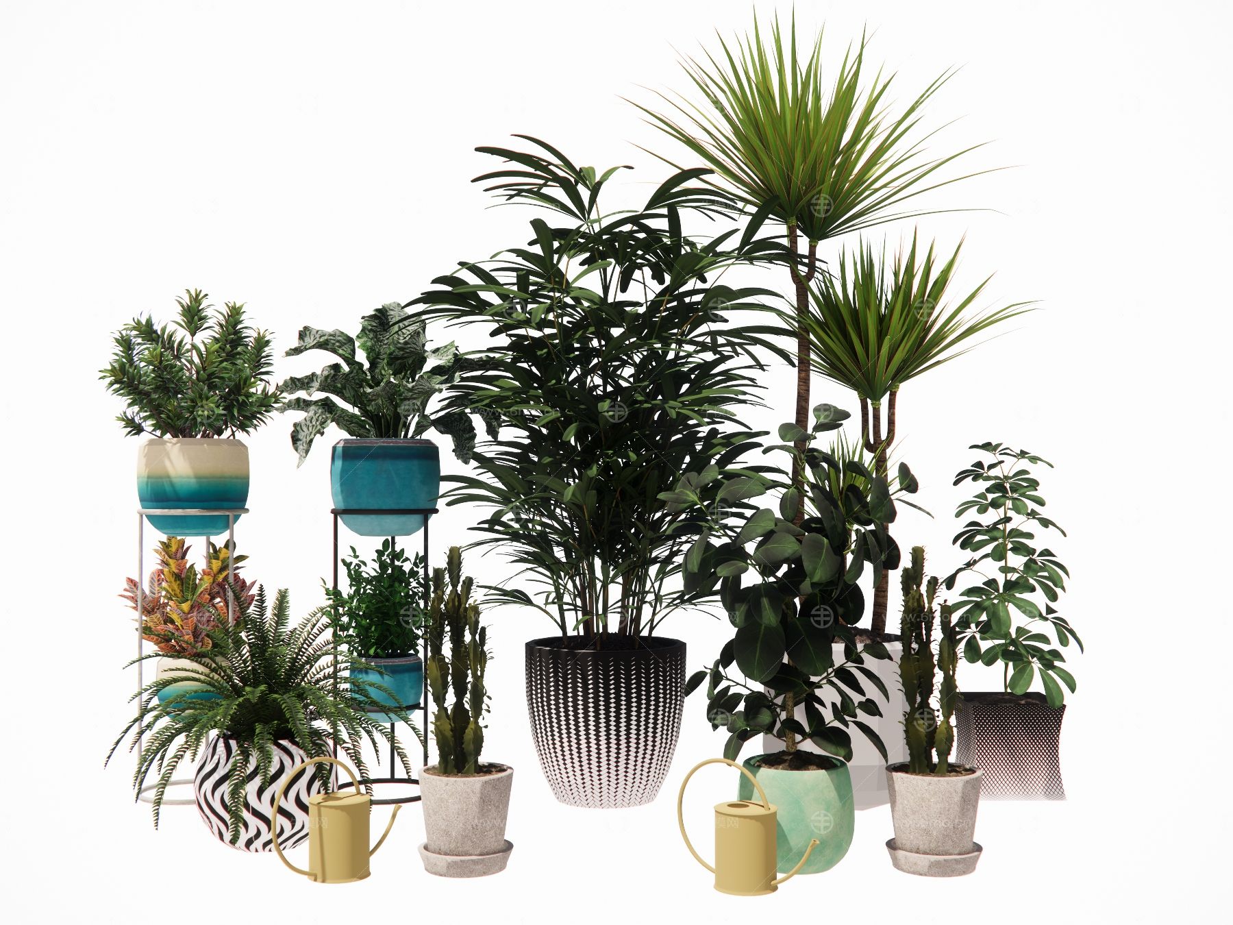 室内盆栽热带植物花盆摆件家居植物绿植盆景仙人掌龙血树油皮树
