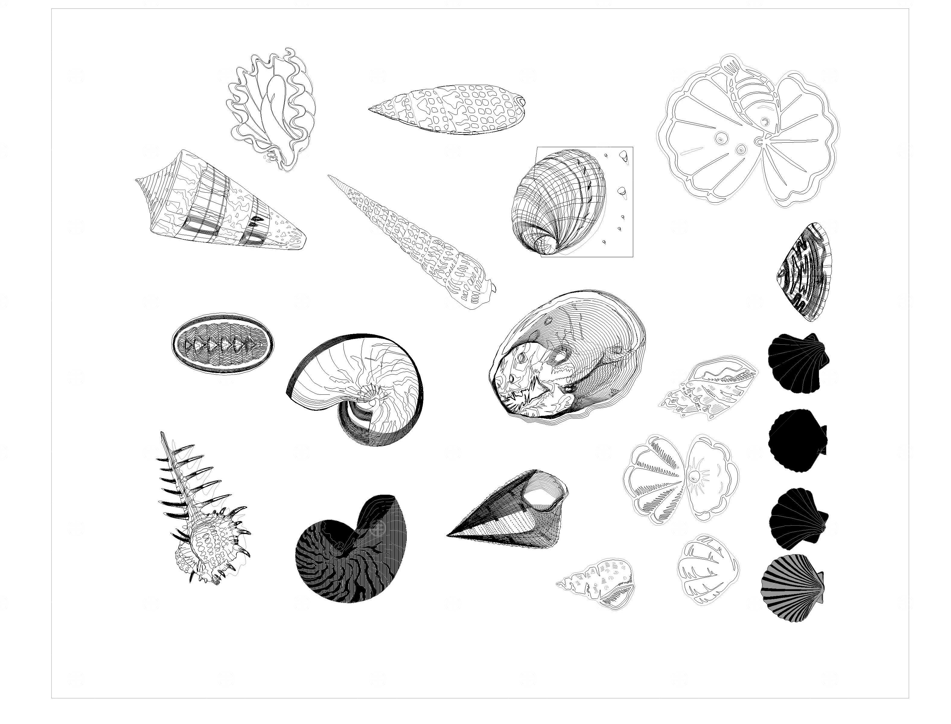 海洋生物CAD图库