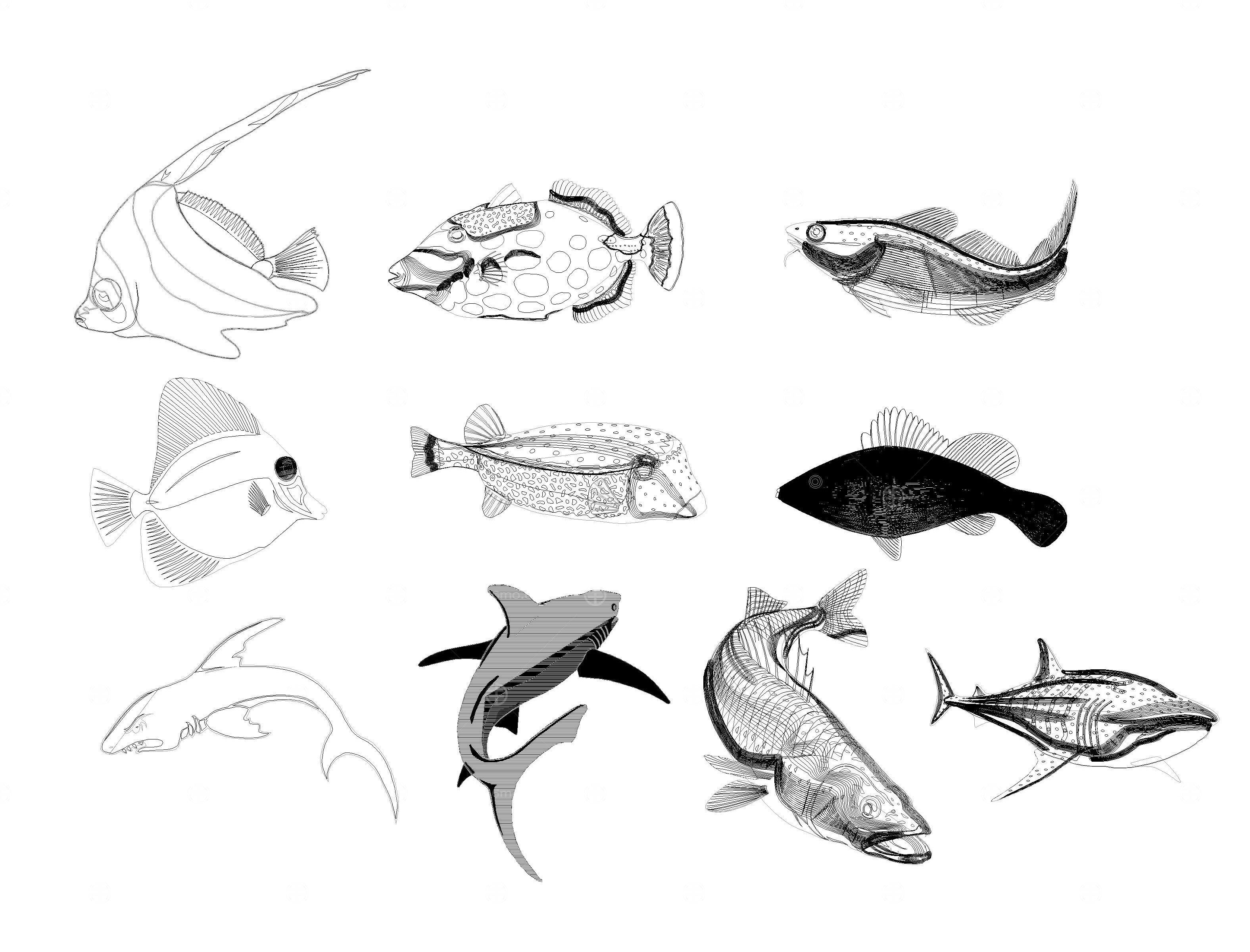 海洋生物CAD图库