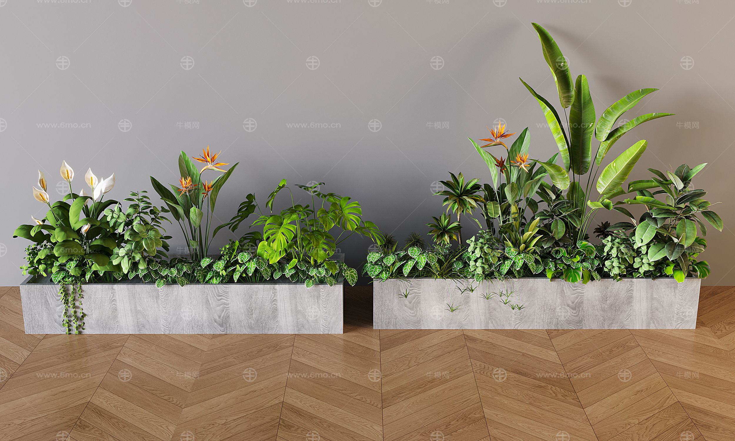 现代植物堆 室内造景植物堆 植物组合 植物造景 蕨类植物鲜花