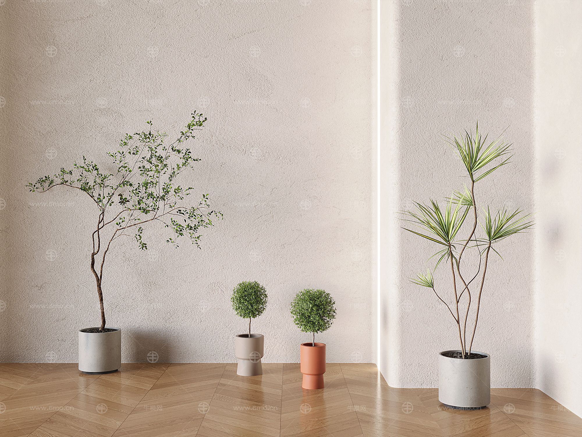 现代盆栽盆景 植物组合 绿植盆栽 植物造景
