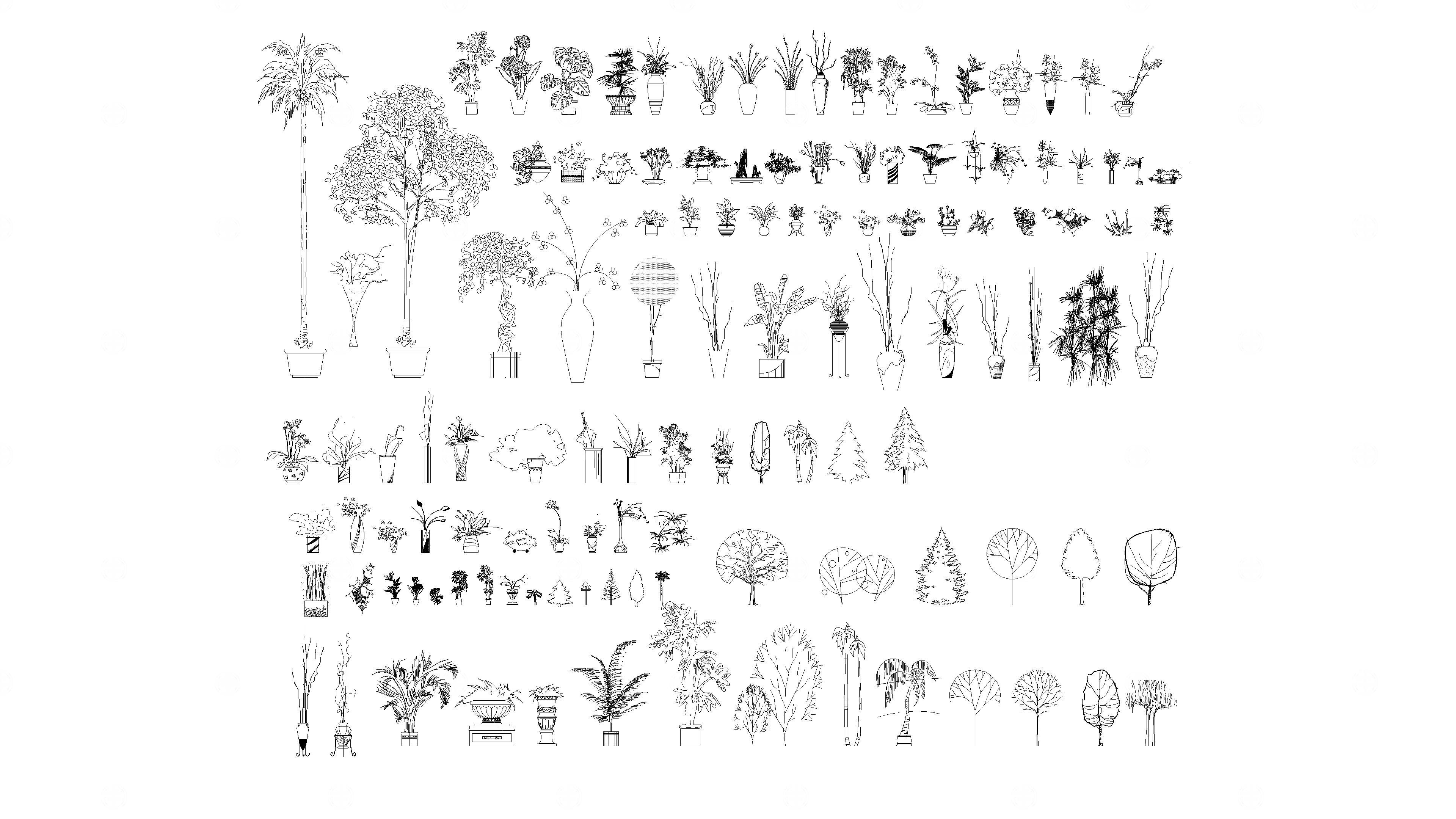 室内植物CAD