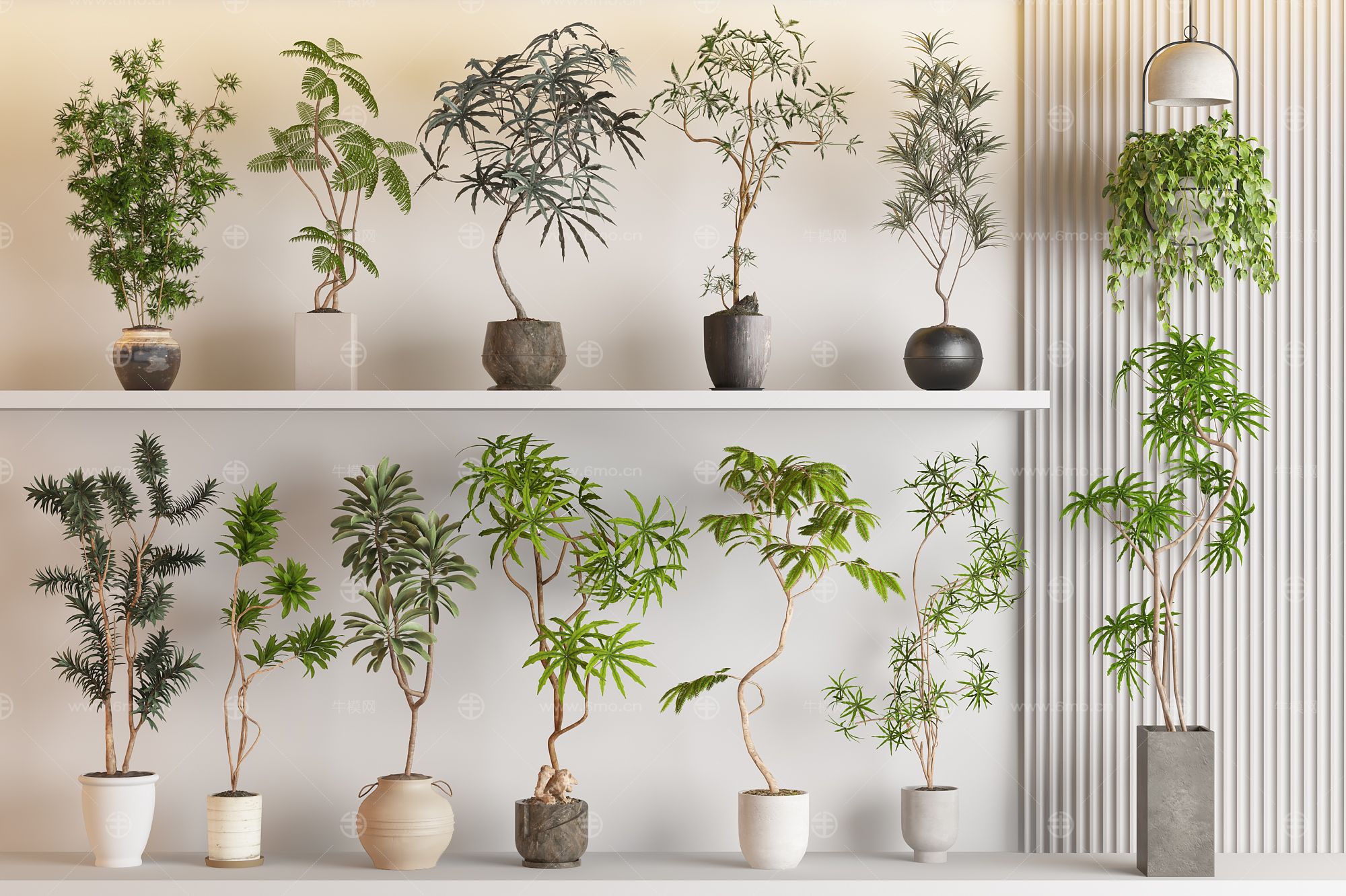 现代侘寂风绿植盆栽组合