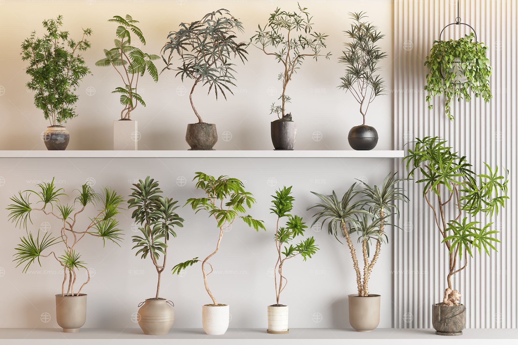 现代侘寂风绿植盆栽组合