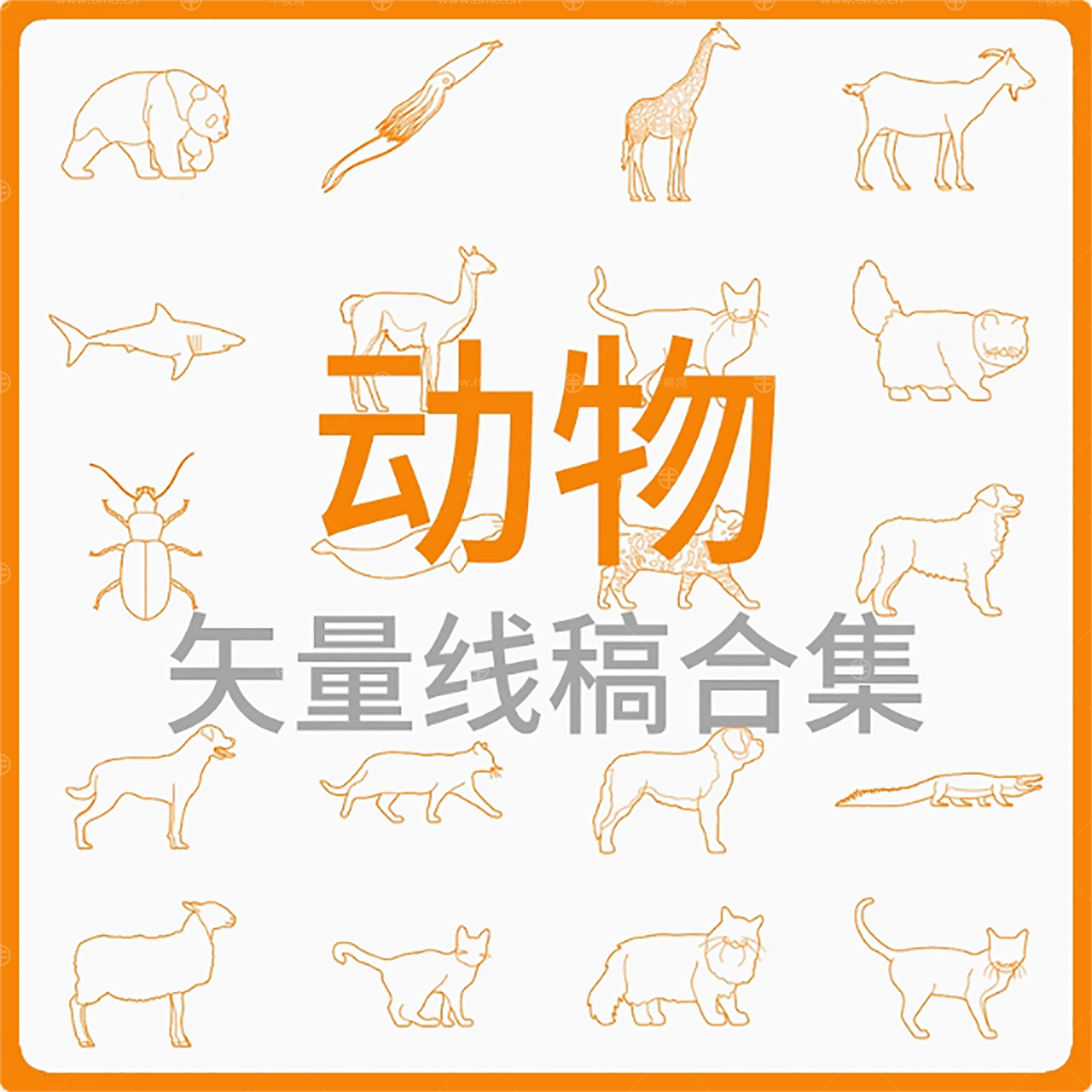 动物-矢量线稿合集