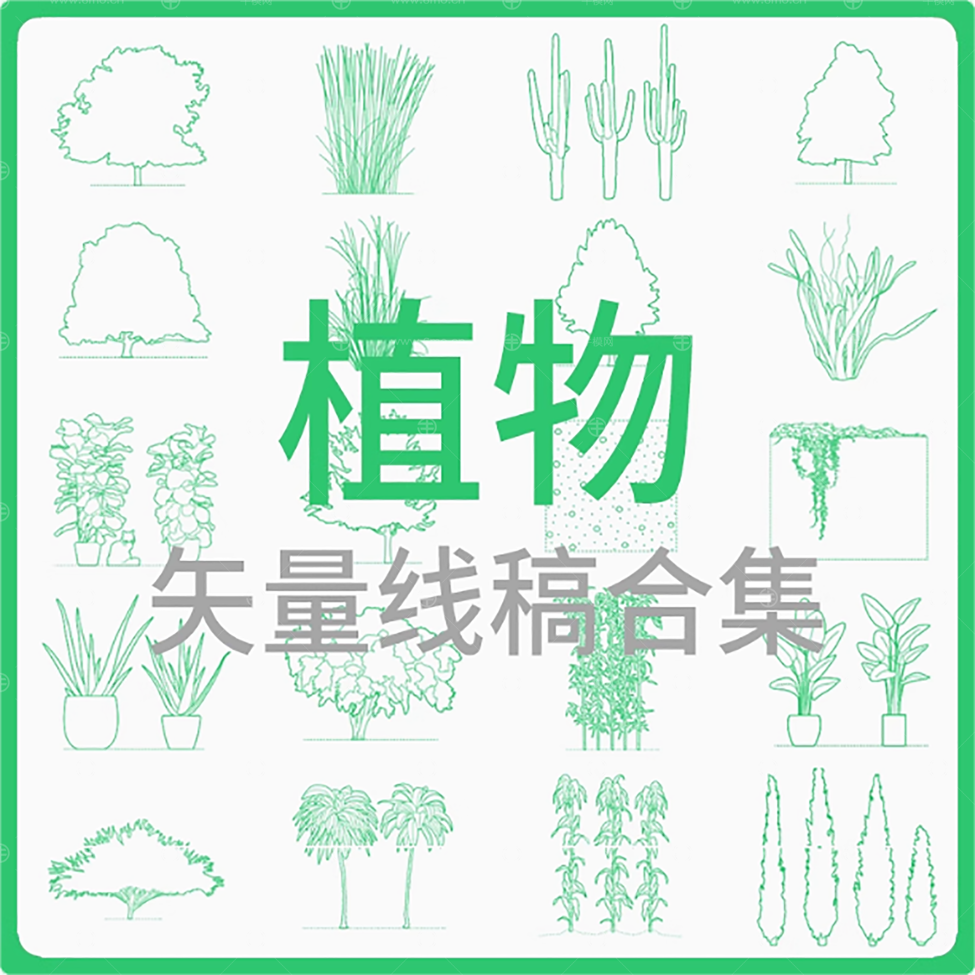 植物-矢量线稿合集