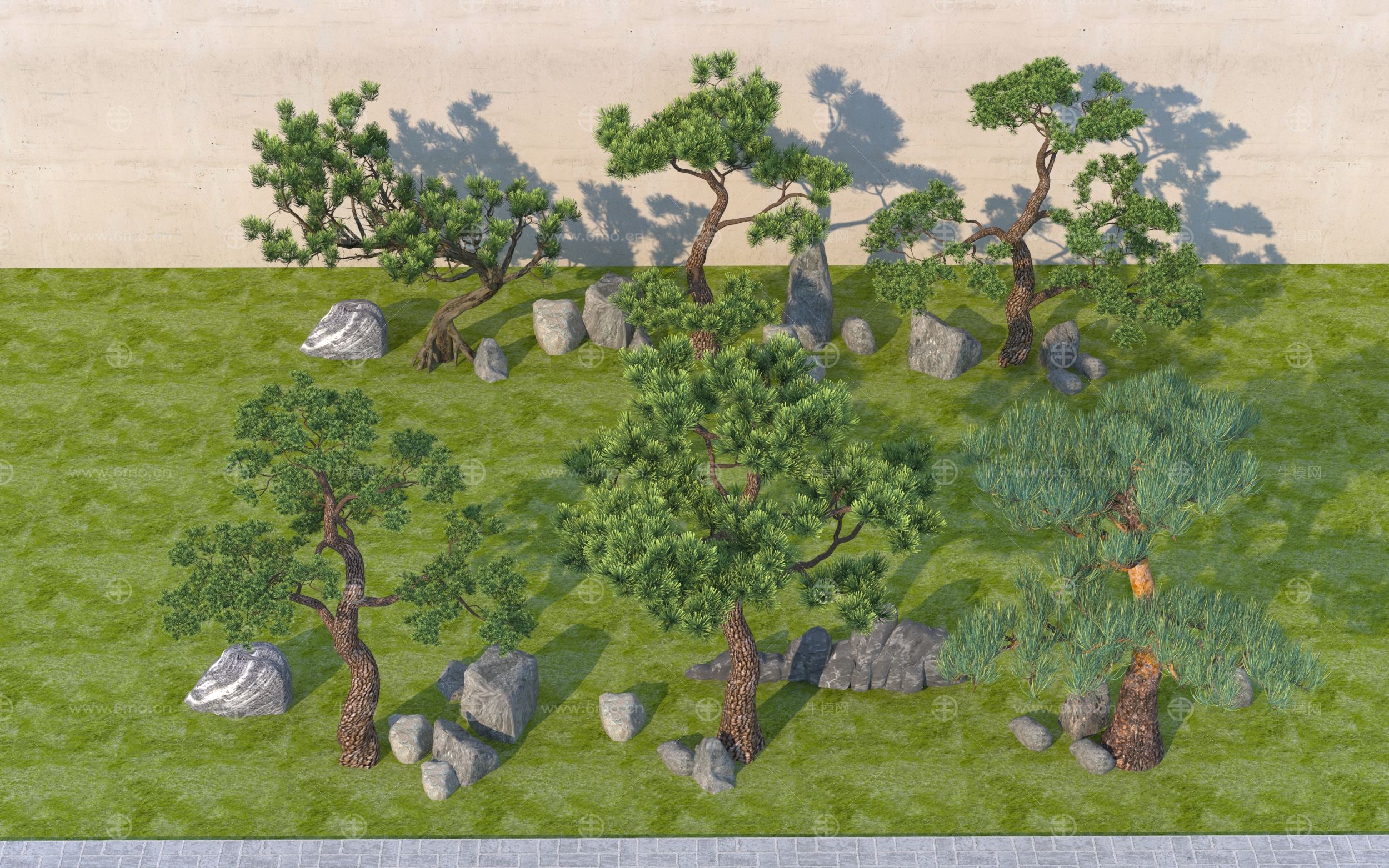中式罗汉松景观植物乔木 观赏树松树造型树 石头盆景盆栽