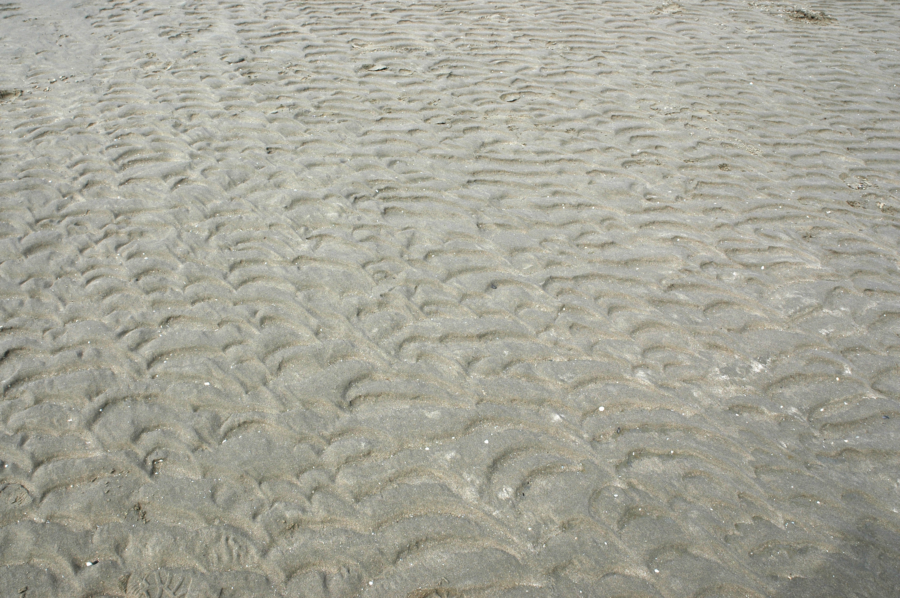 海滩3d贴图下载