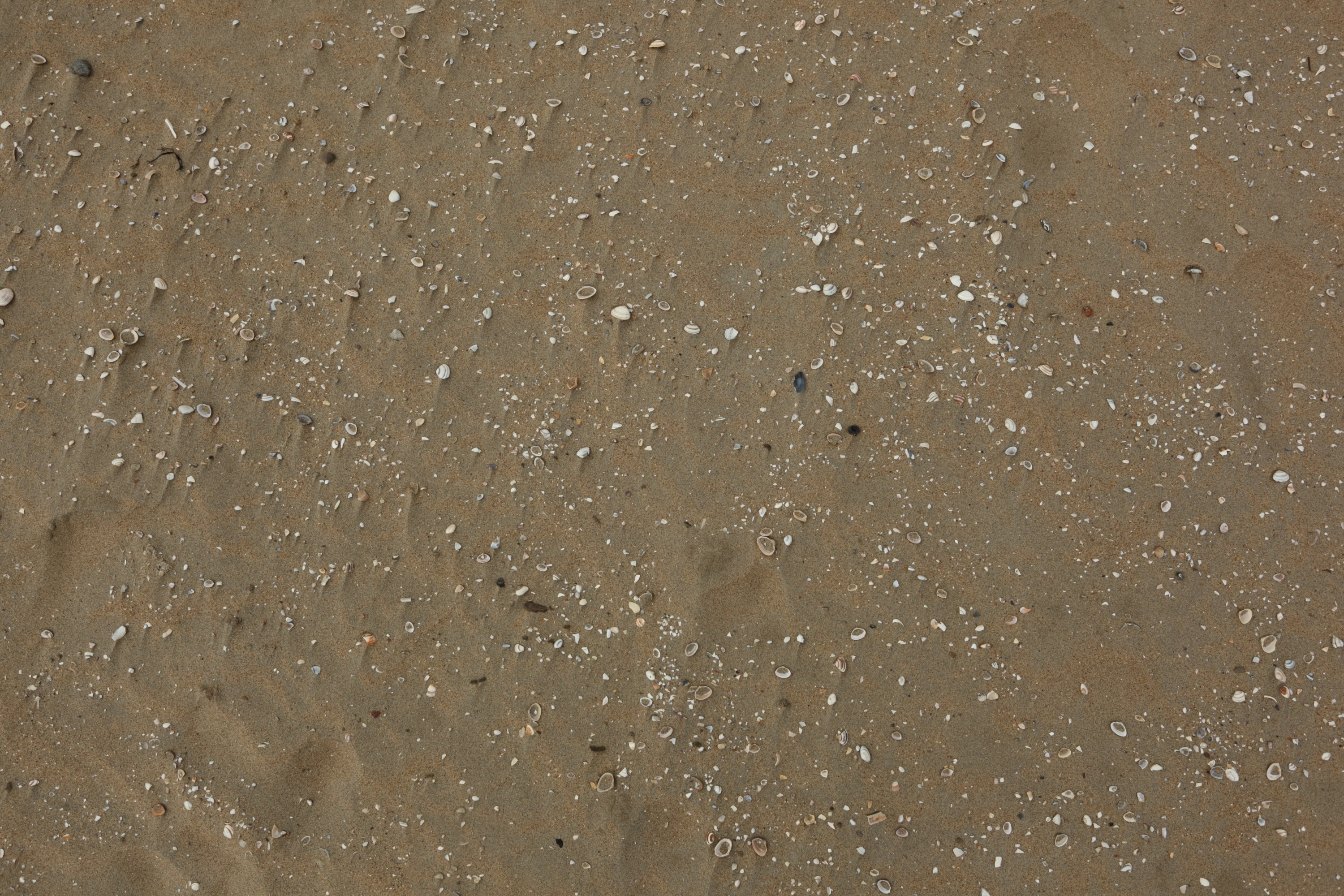 海滩贴图下载_海滩材质贴图免费下载_id:21780_牛模网